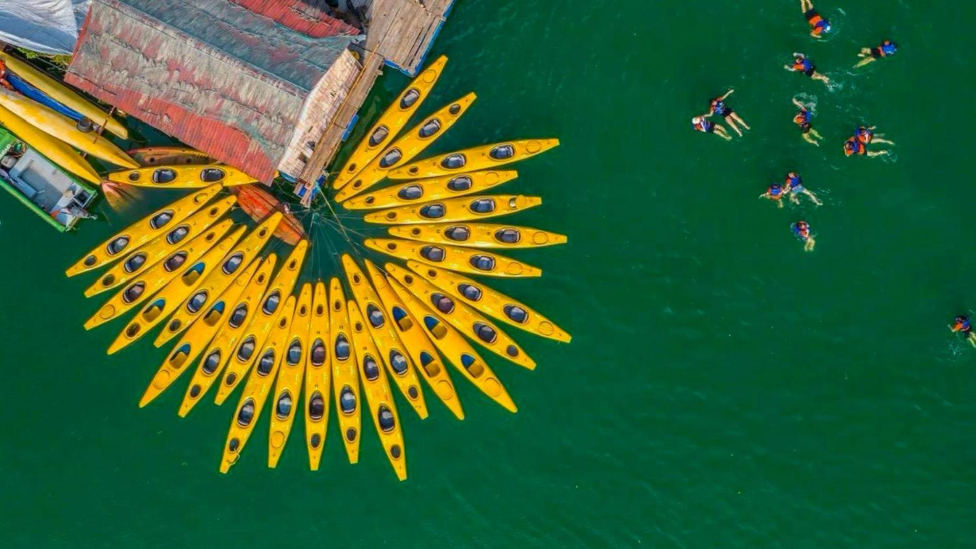 Lotus Boutique Cruise 