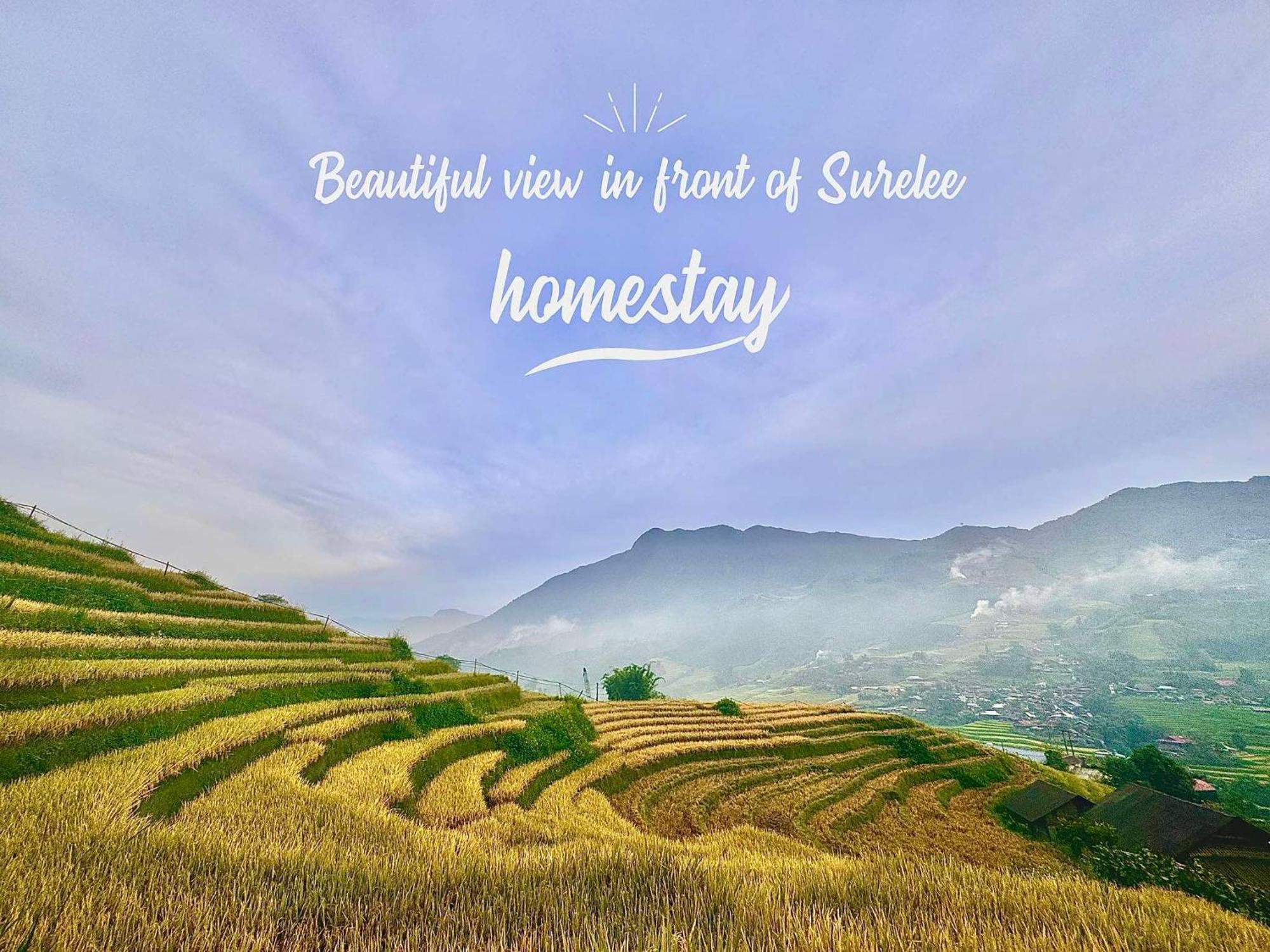 Surelee Ở trọ *