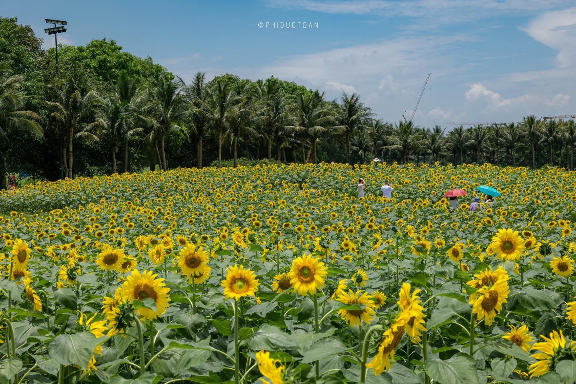 Ecopark By Qmp Hung Yen