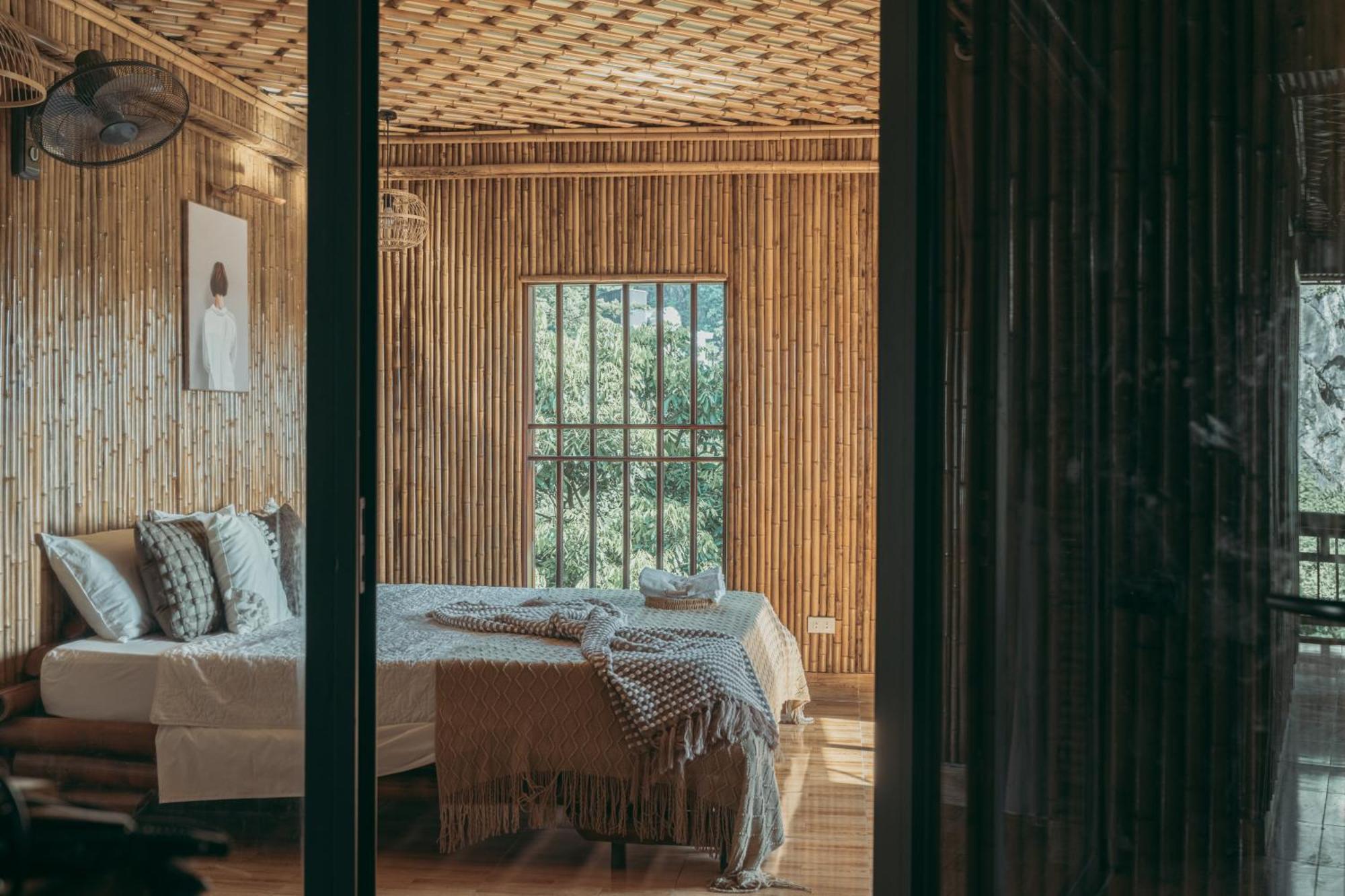 Bamboo Hill