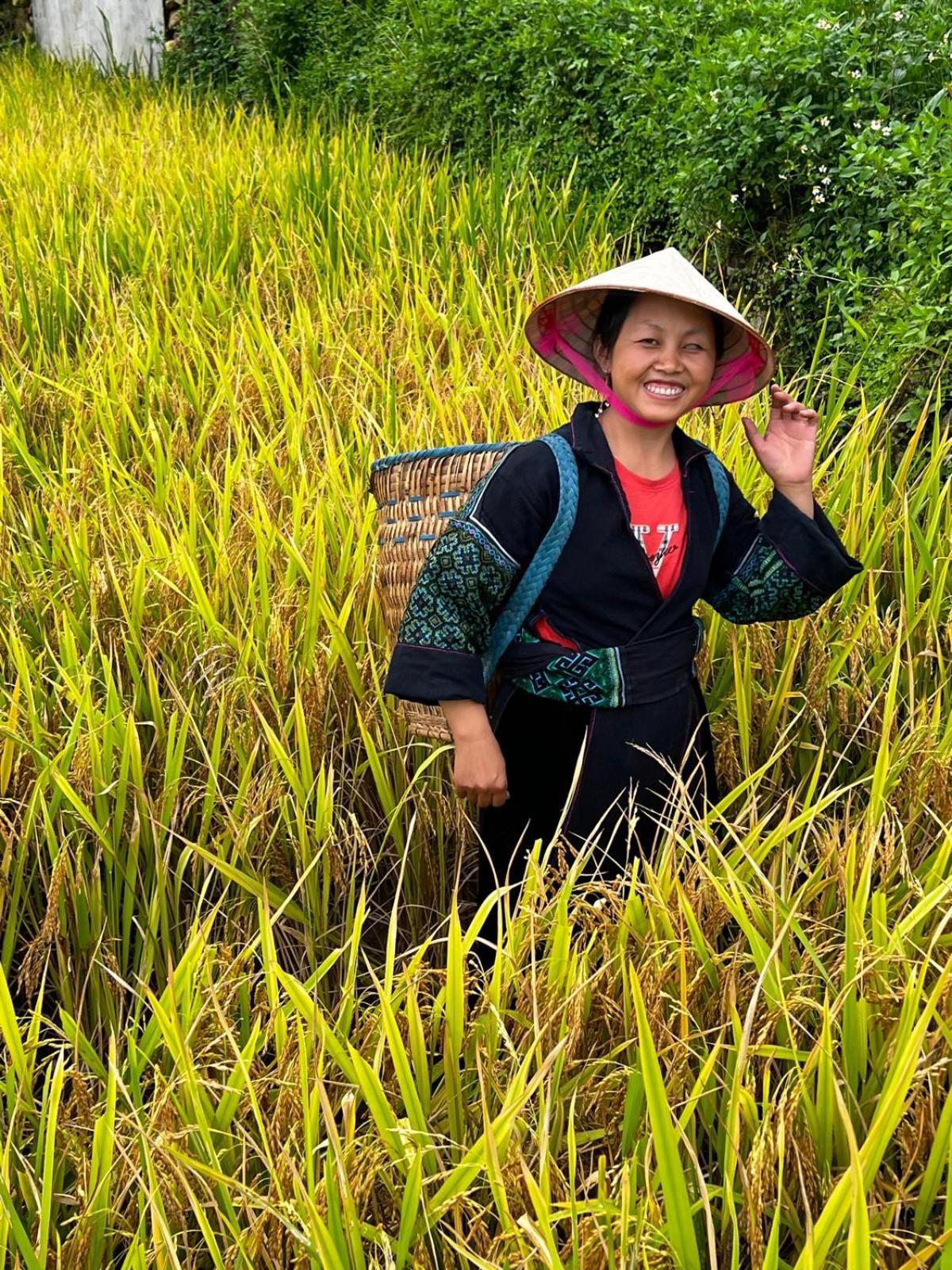 & Trekking Tom Tom Homestay Sa Pa