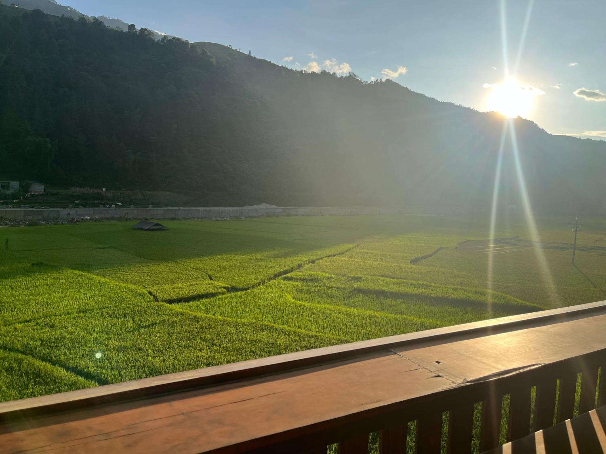 Hoa Thao Mu Cang Chai