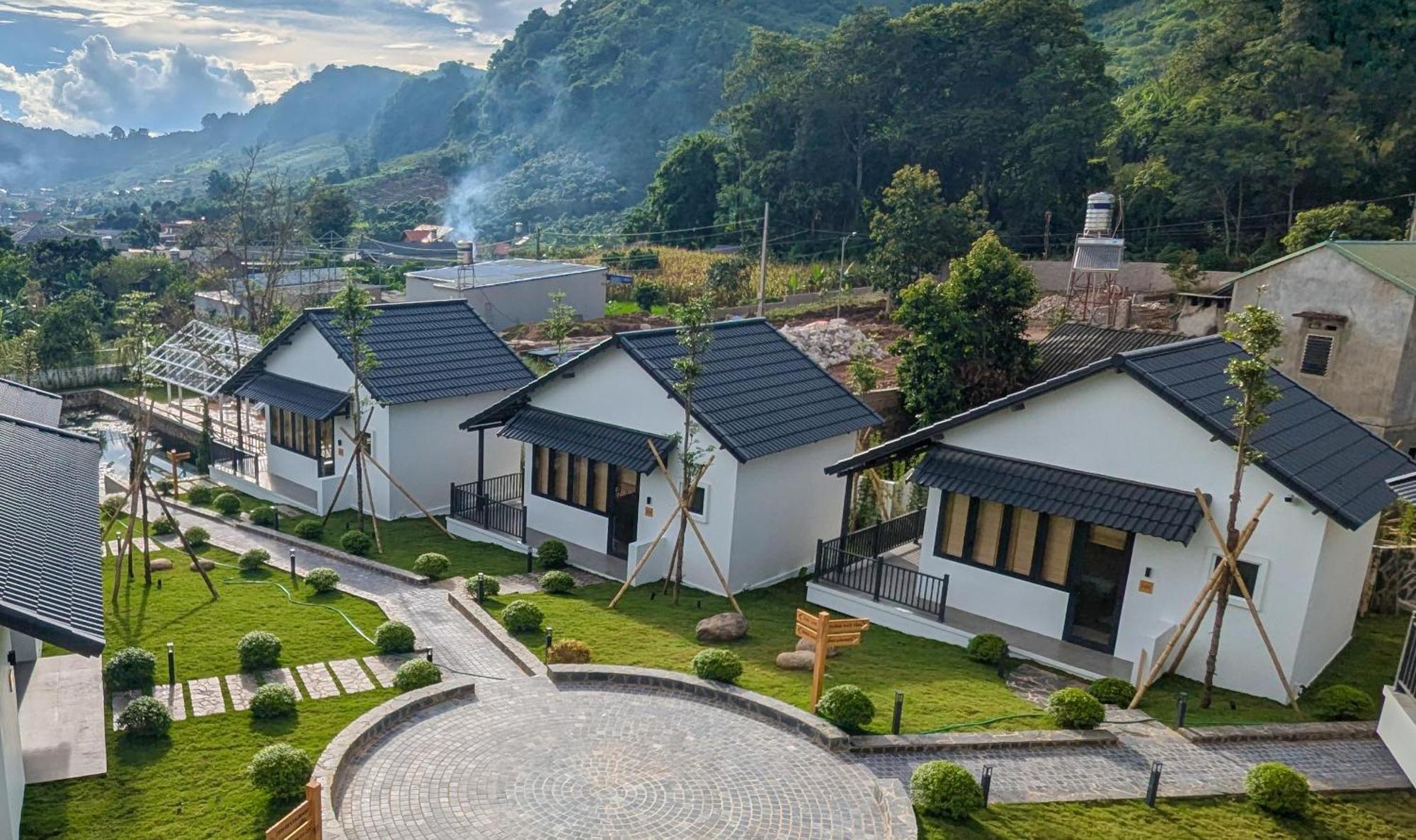 Ikigai Retreat