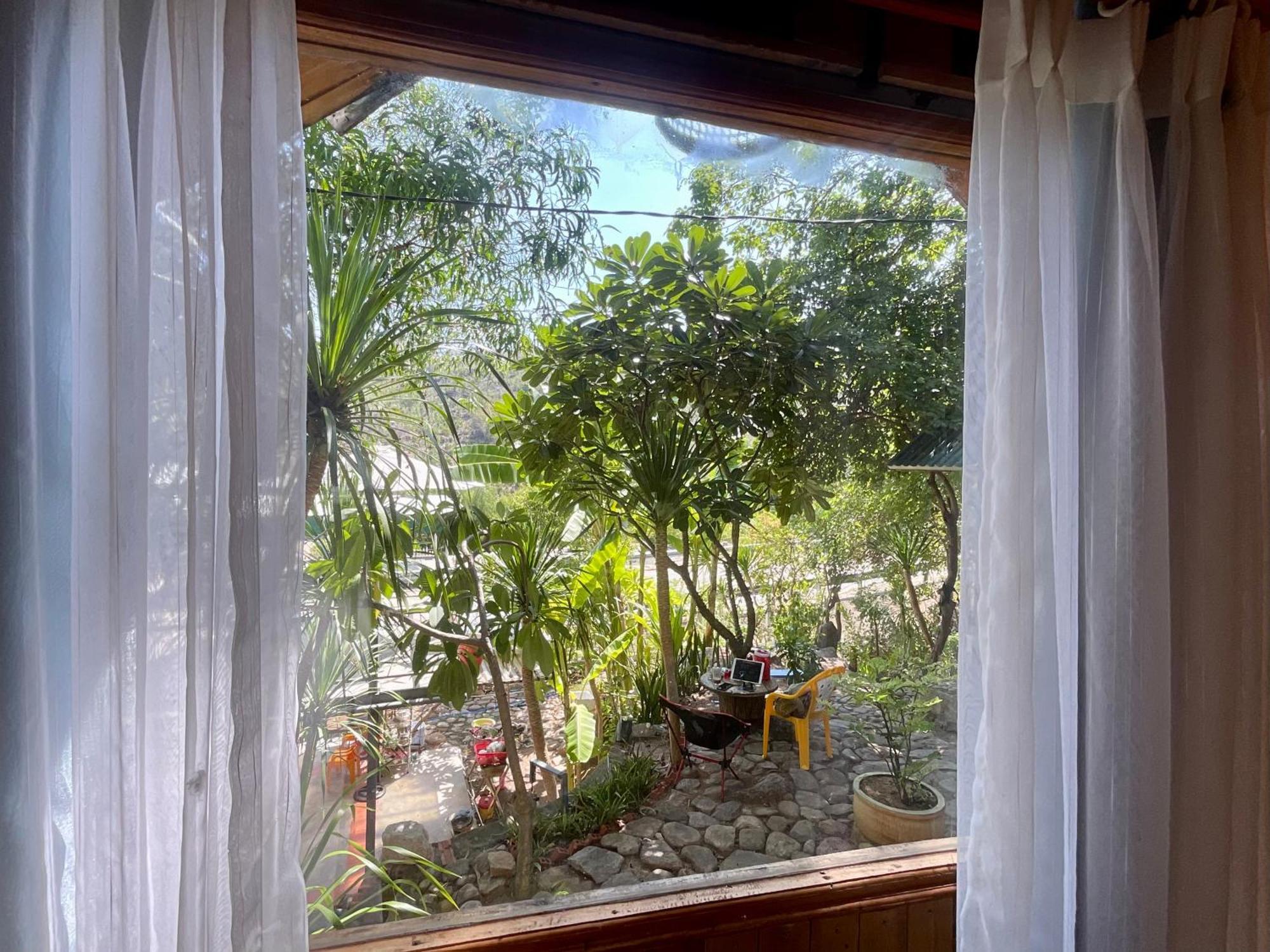 Meo - Bui Cam Ranh