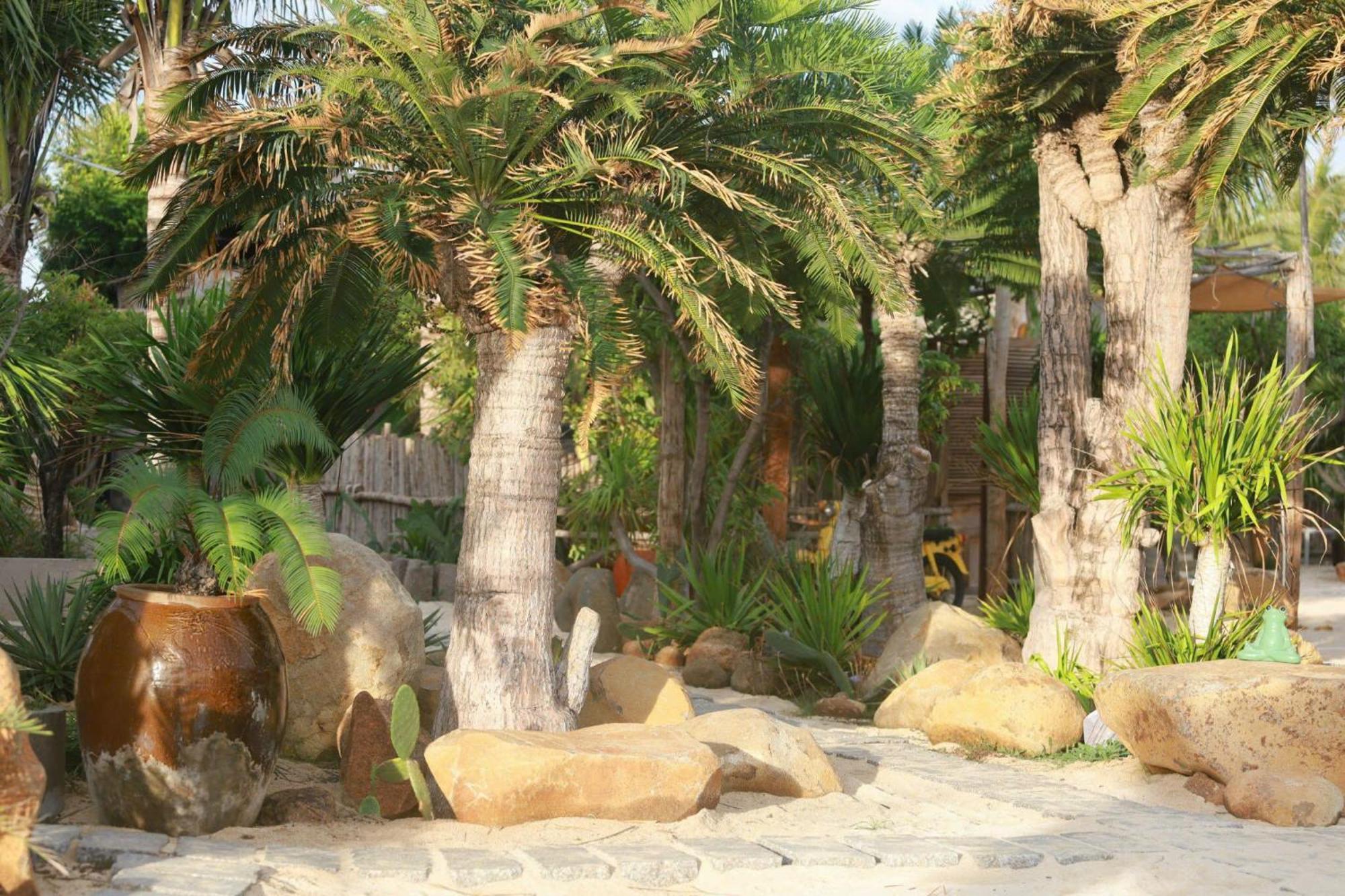 Hanh Ngo - Hon Do Ninh Thuan Homestay Phan Rang
