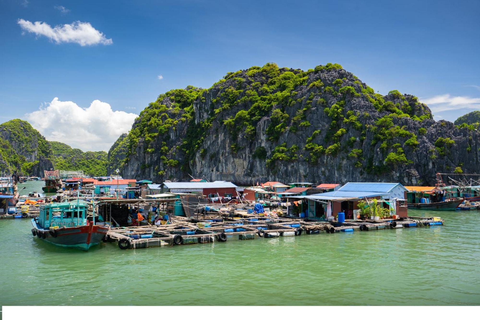 Cat Ba Cruise * Dong Khe Sau