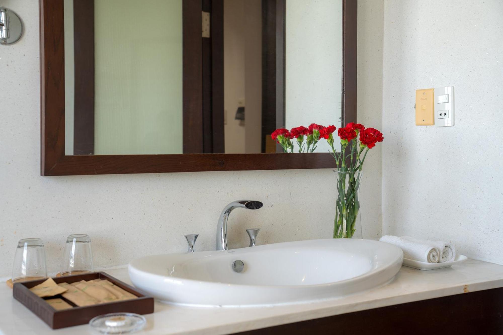 Hotel Dana Pearl 3*