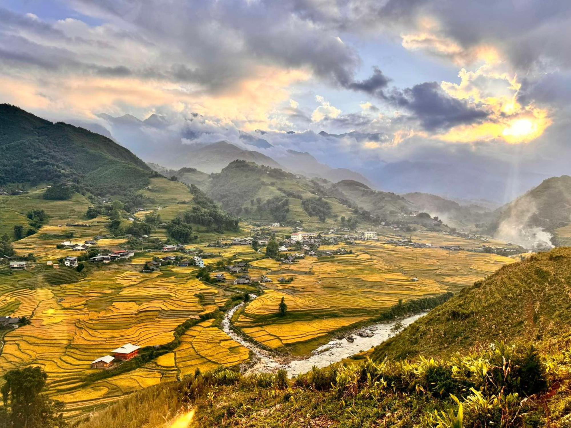 Surelee Ở trọ *
