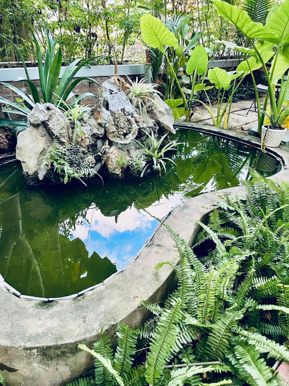 Privatunterkunft An An Phong Nha