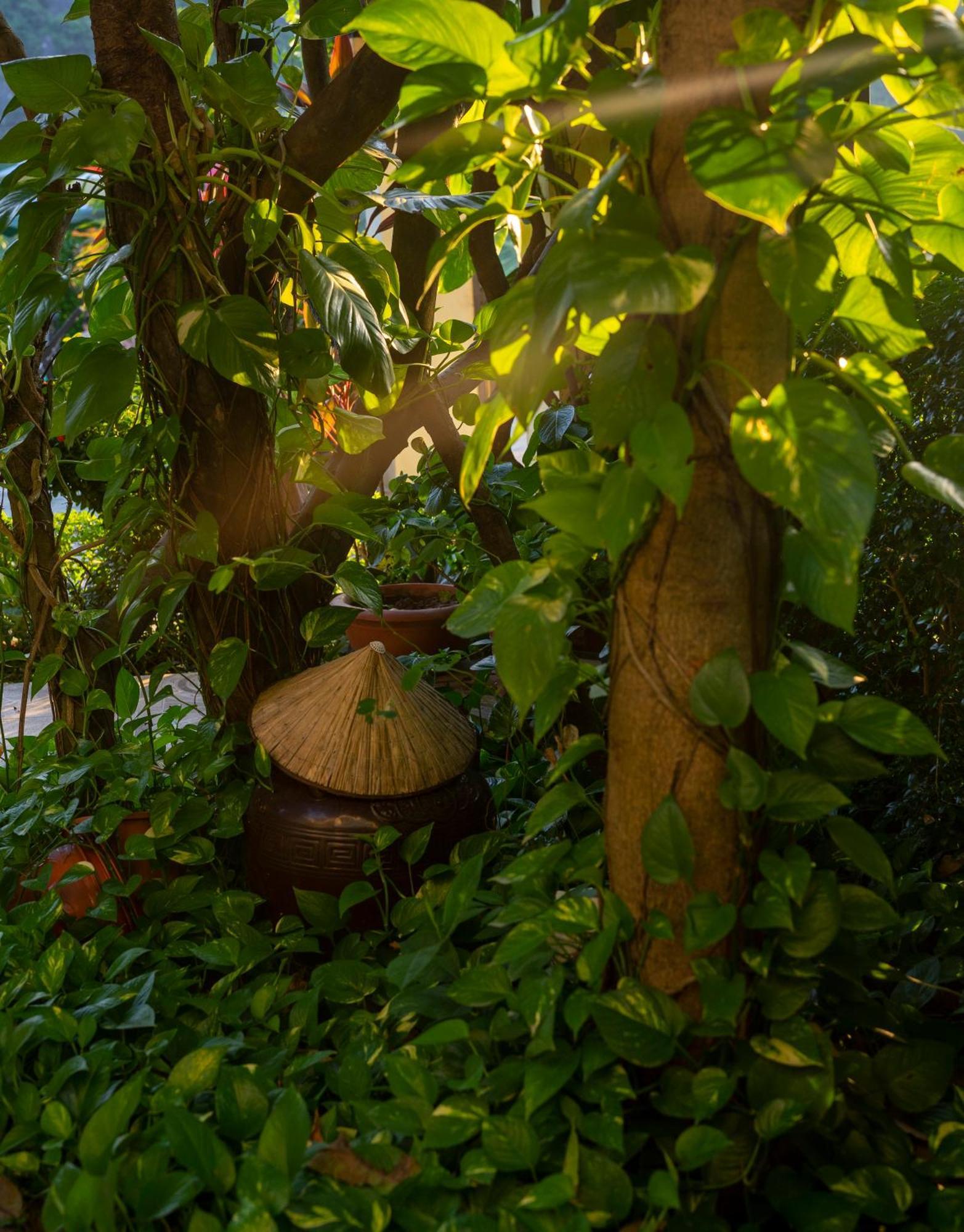 Hotel Tam Coc Minh Hung Ninh Binh
