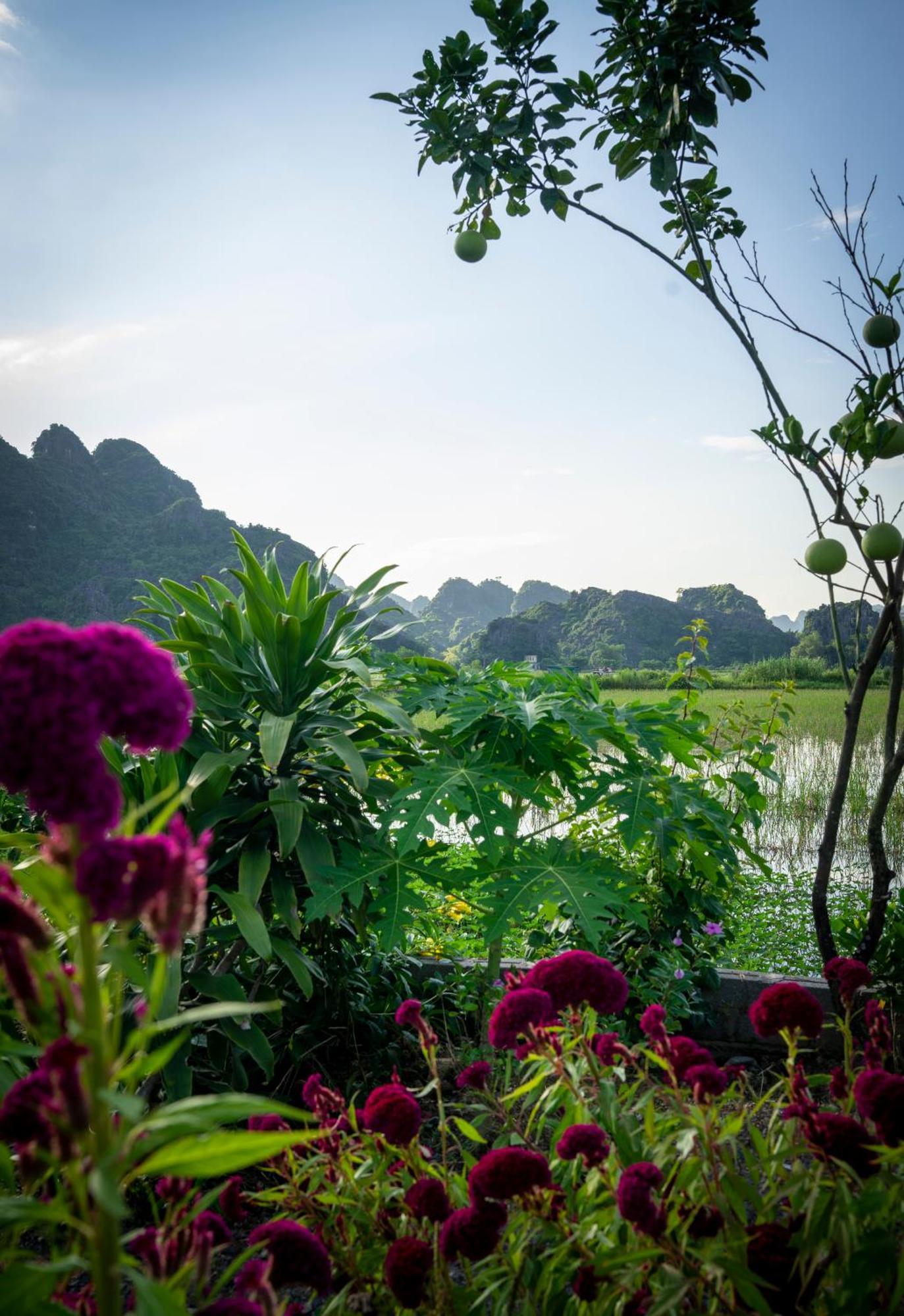 Tam Coc Minh Hung Hotel 3*
