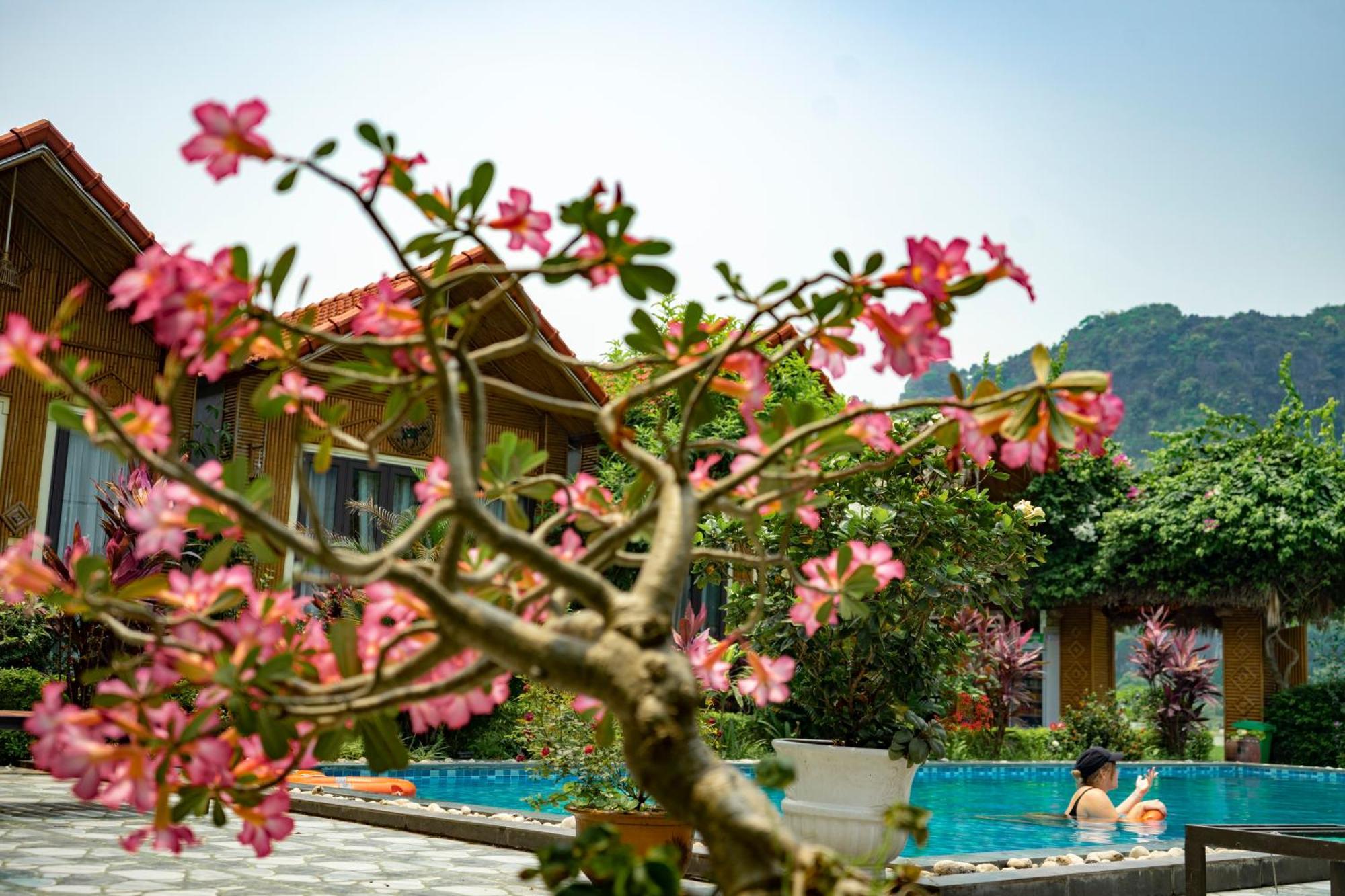Tam Coc Minh Hung 3* Ninh Binh