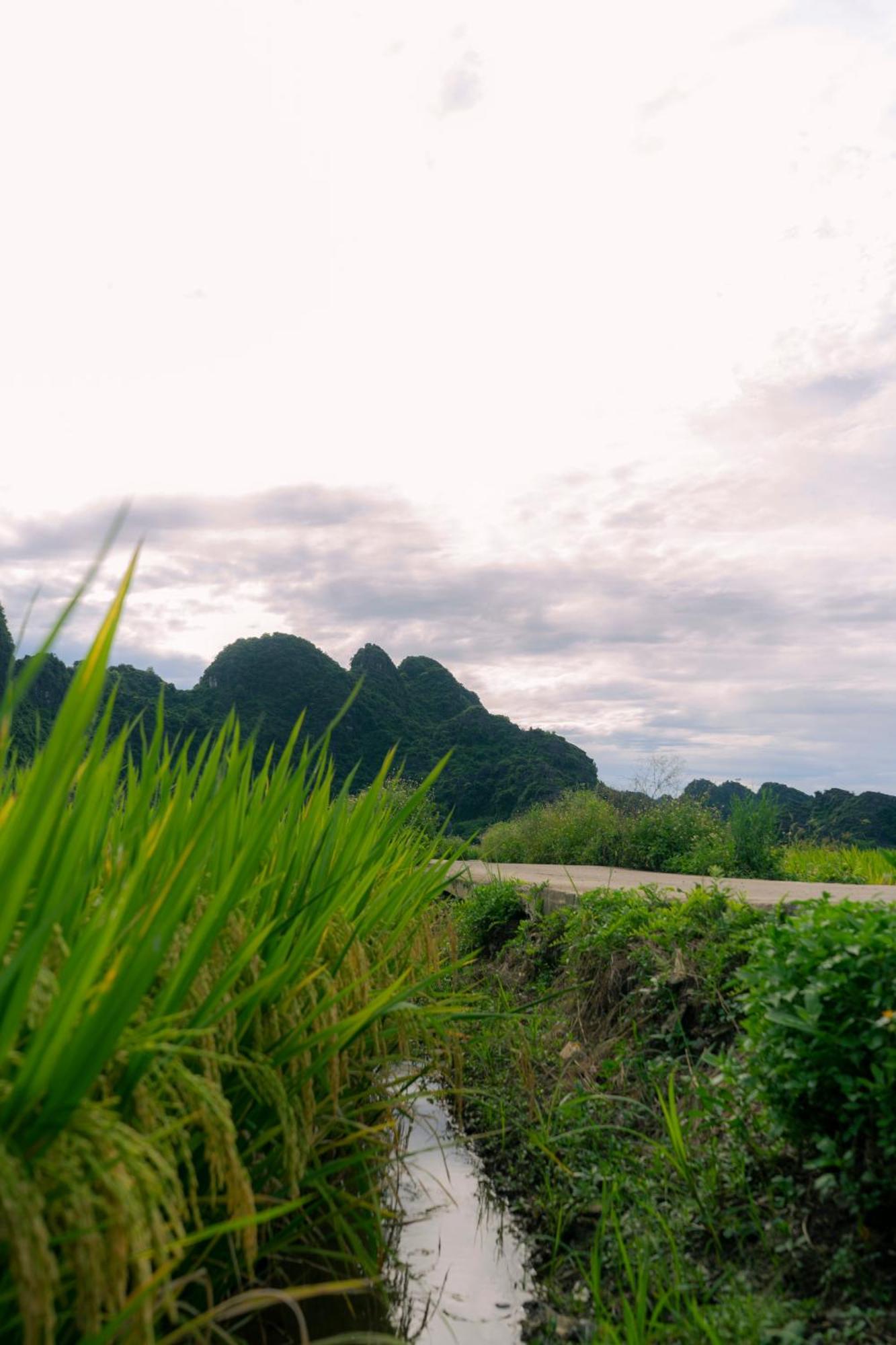 Tam Coc Minh Hung 3* Ninh Binh