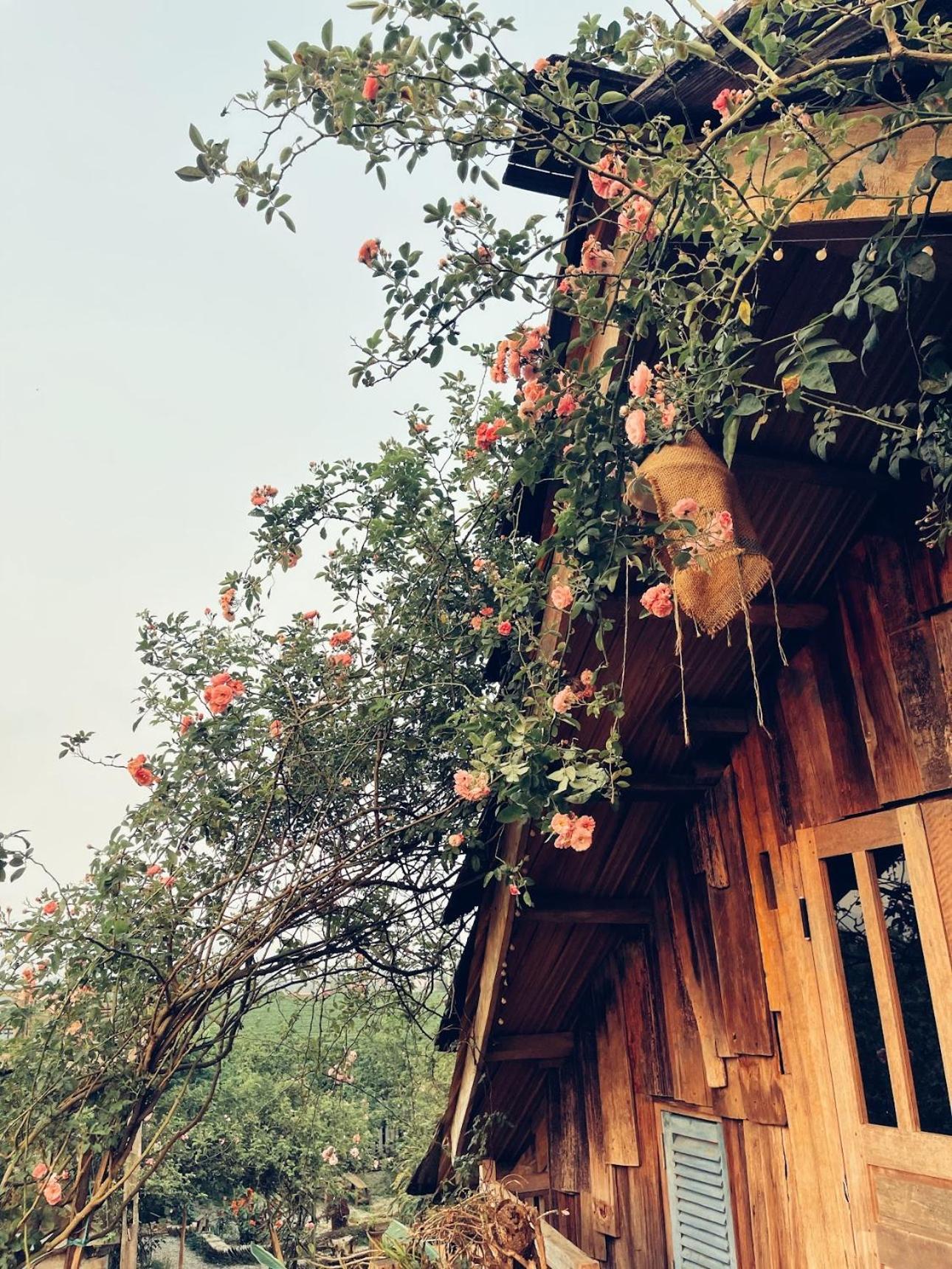 Tiem Ca Phe & Coffee Lodge Moc Chau