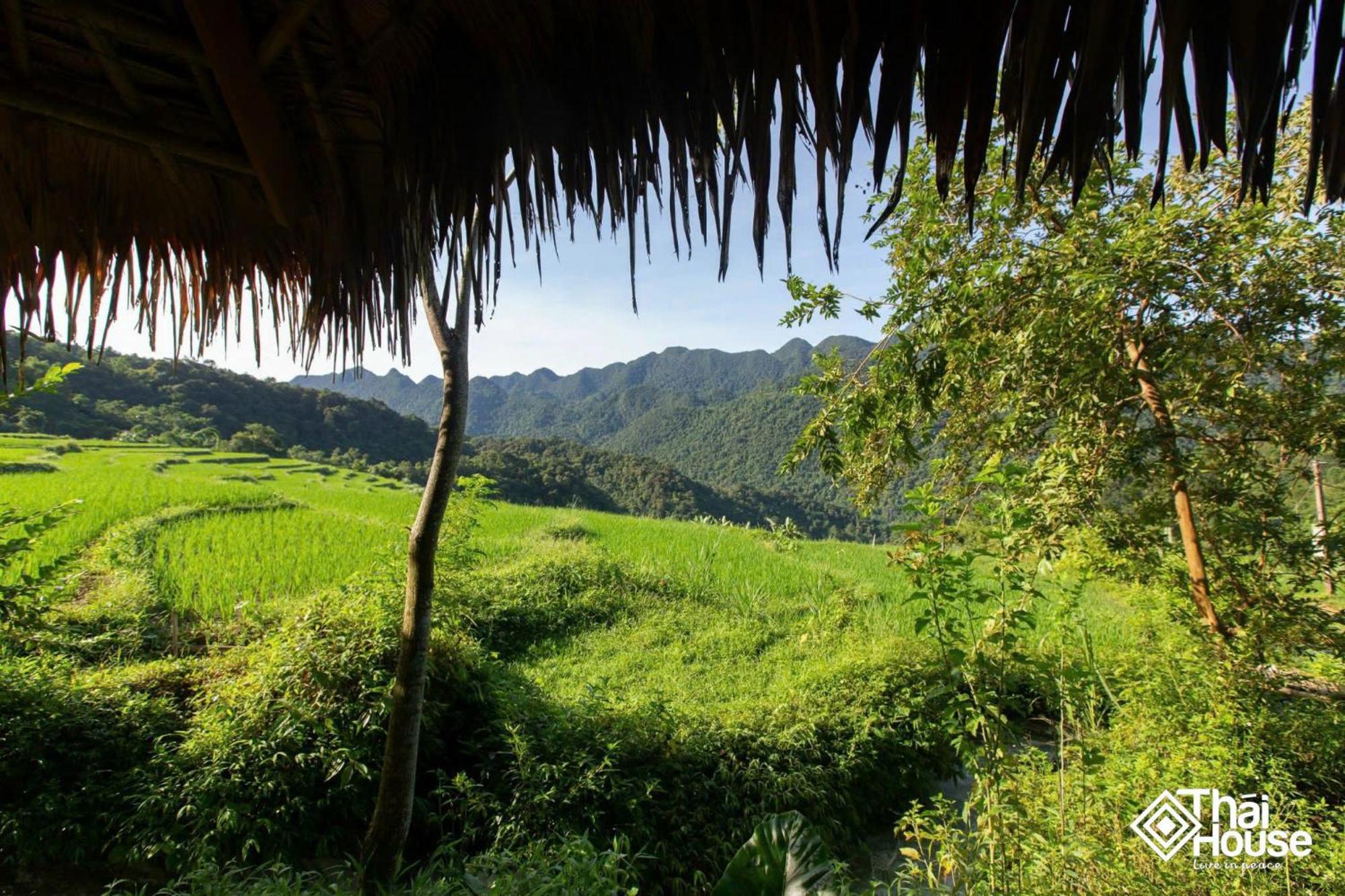Thai House Pu Luong - Century Old Stilt House With Terrace Views Lodge