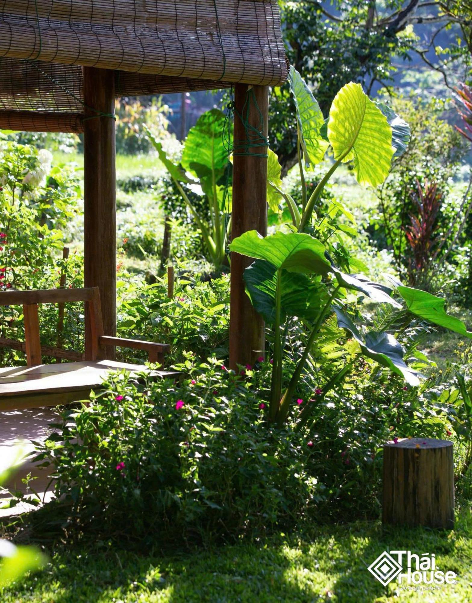 Thai House Pu Luong - Century Old Stilt House With Terrace Views Huong Ba Thuoc