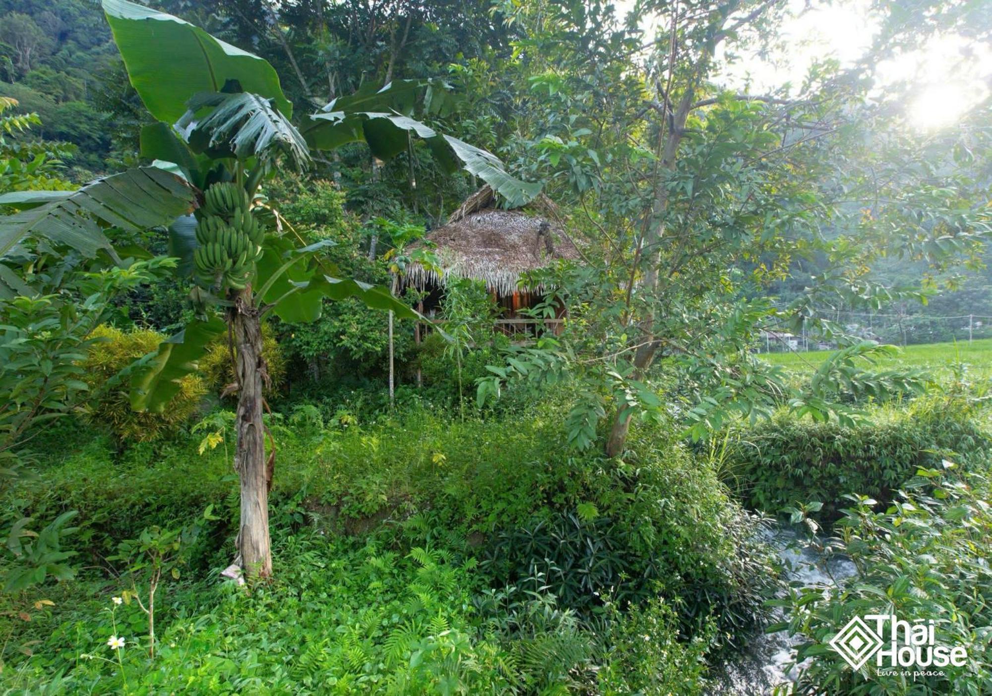 Thai House Pu Luong - Century Old Stilt House With Terrace Views Huong Ba Thuoc