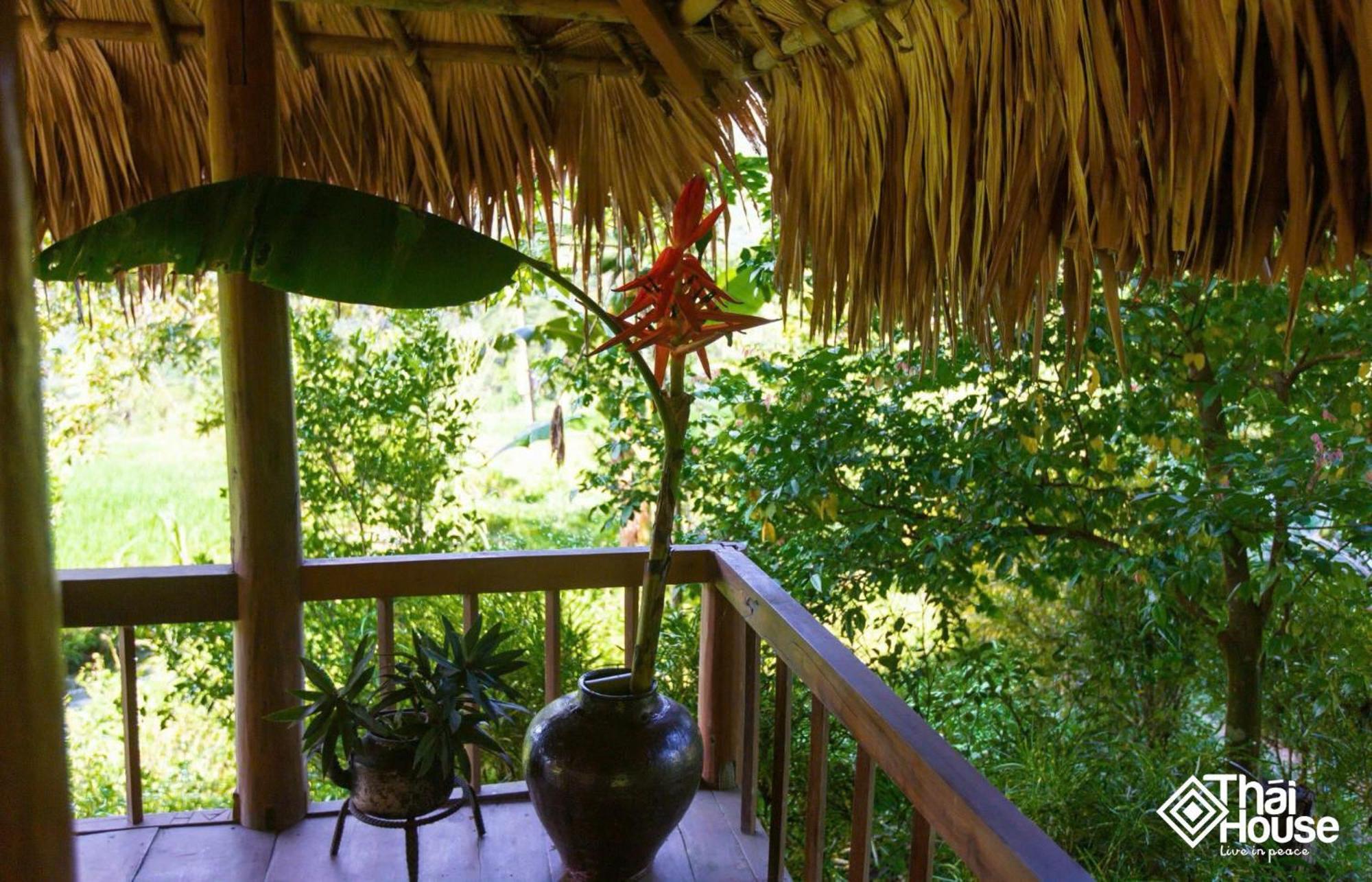 Thai House Pu Luong - Century Old Stilt House With Terrace Views Lodge *