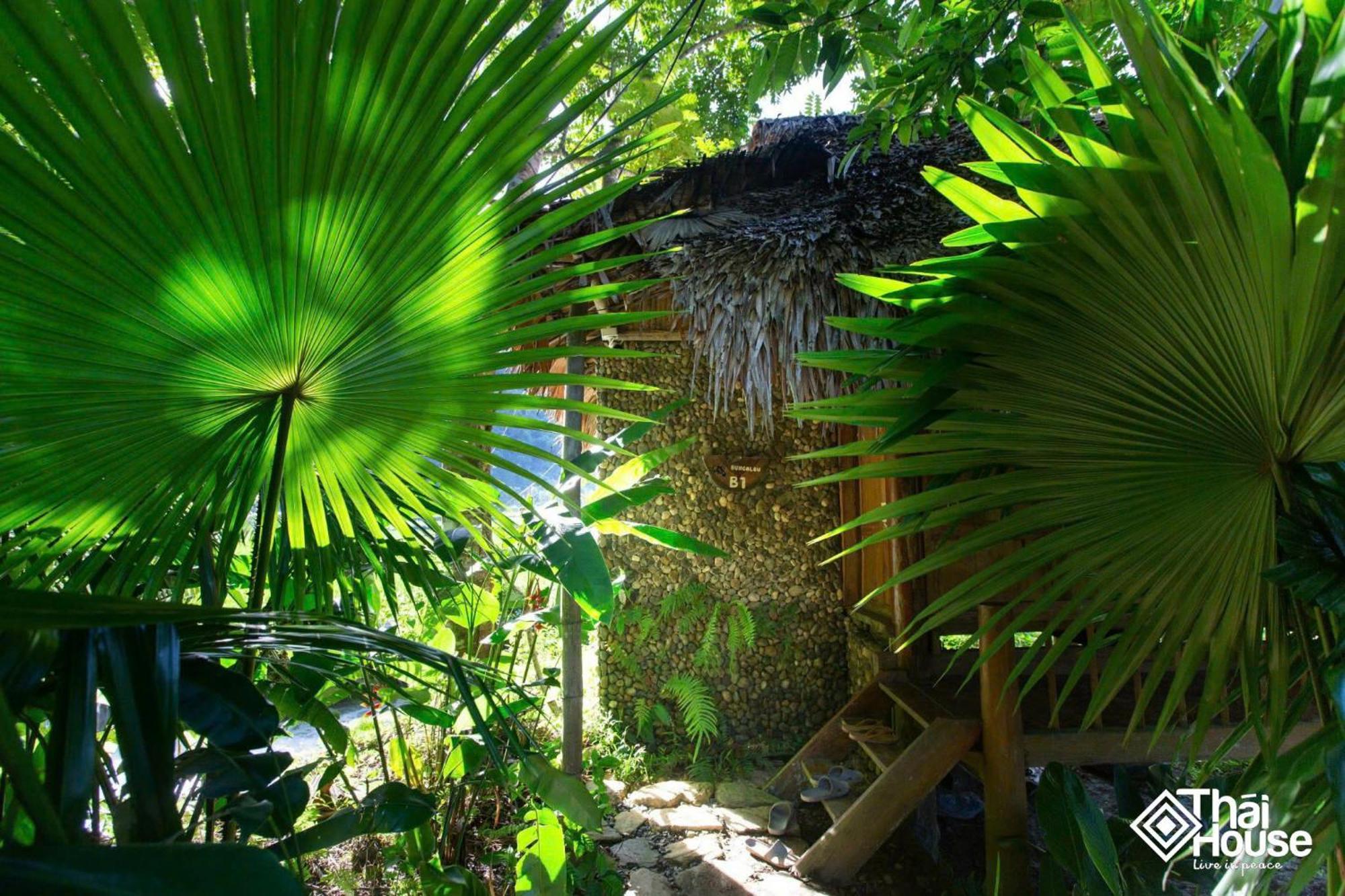 Thai House Pu Luong - Century Old Stilt House With Terrace Views Lodge Huong Ba Thuoc