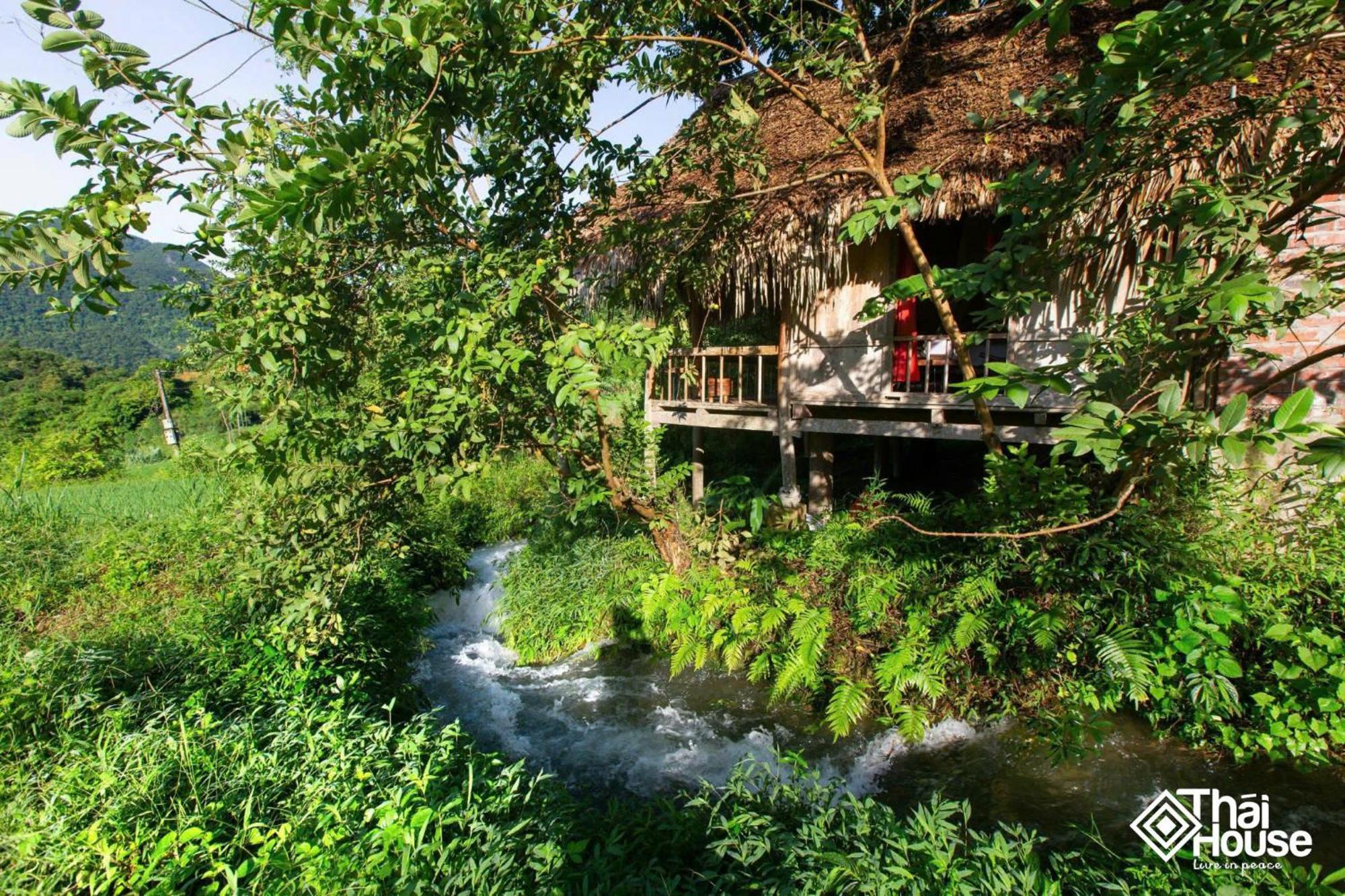 Thai House Pu Luong - Century Old Stilt House With Terrace Views Huong Ba Thuoc