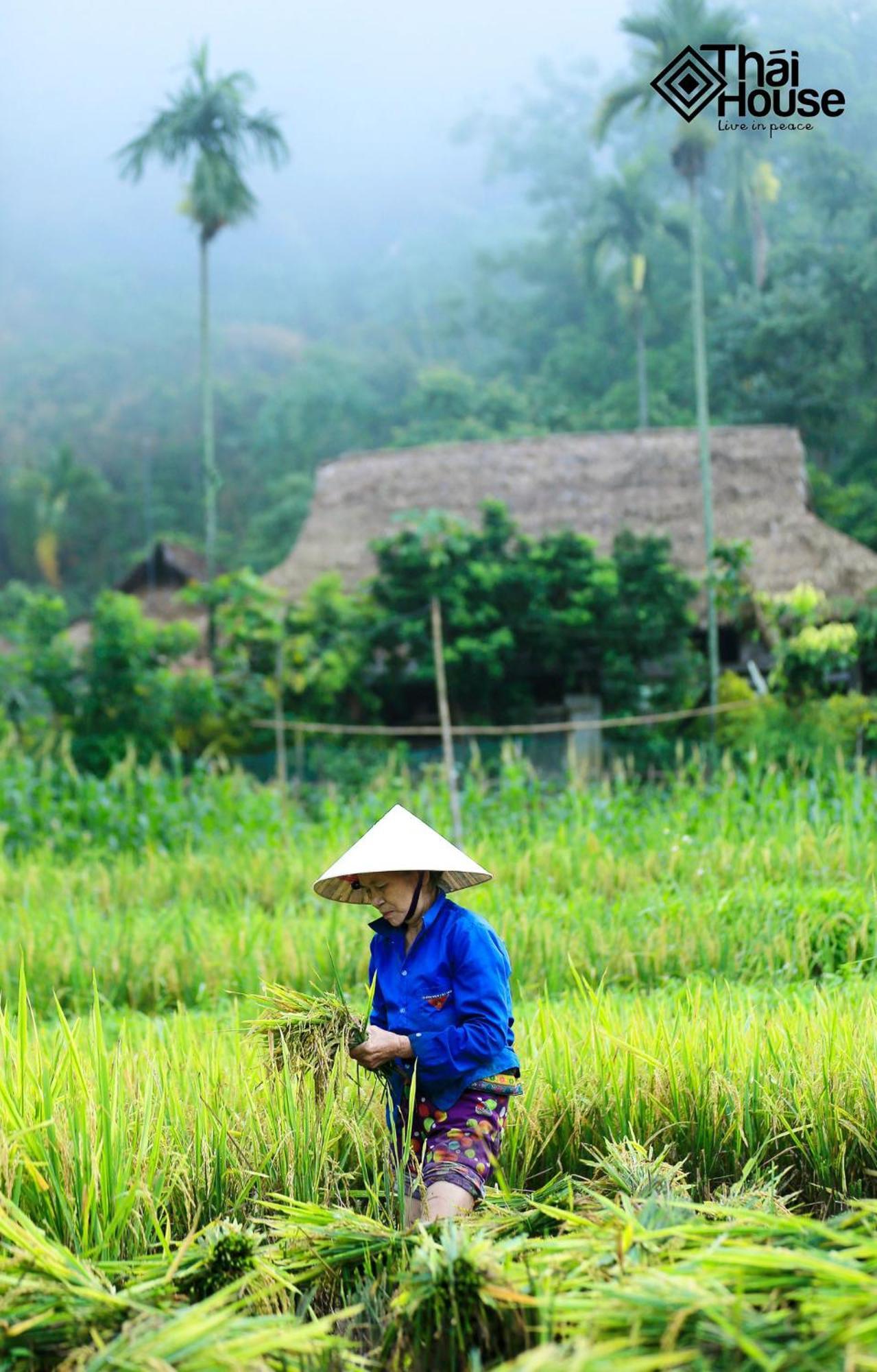 Lodge Thai House Pu Luong - Century Old Stilt House With Terrace Views