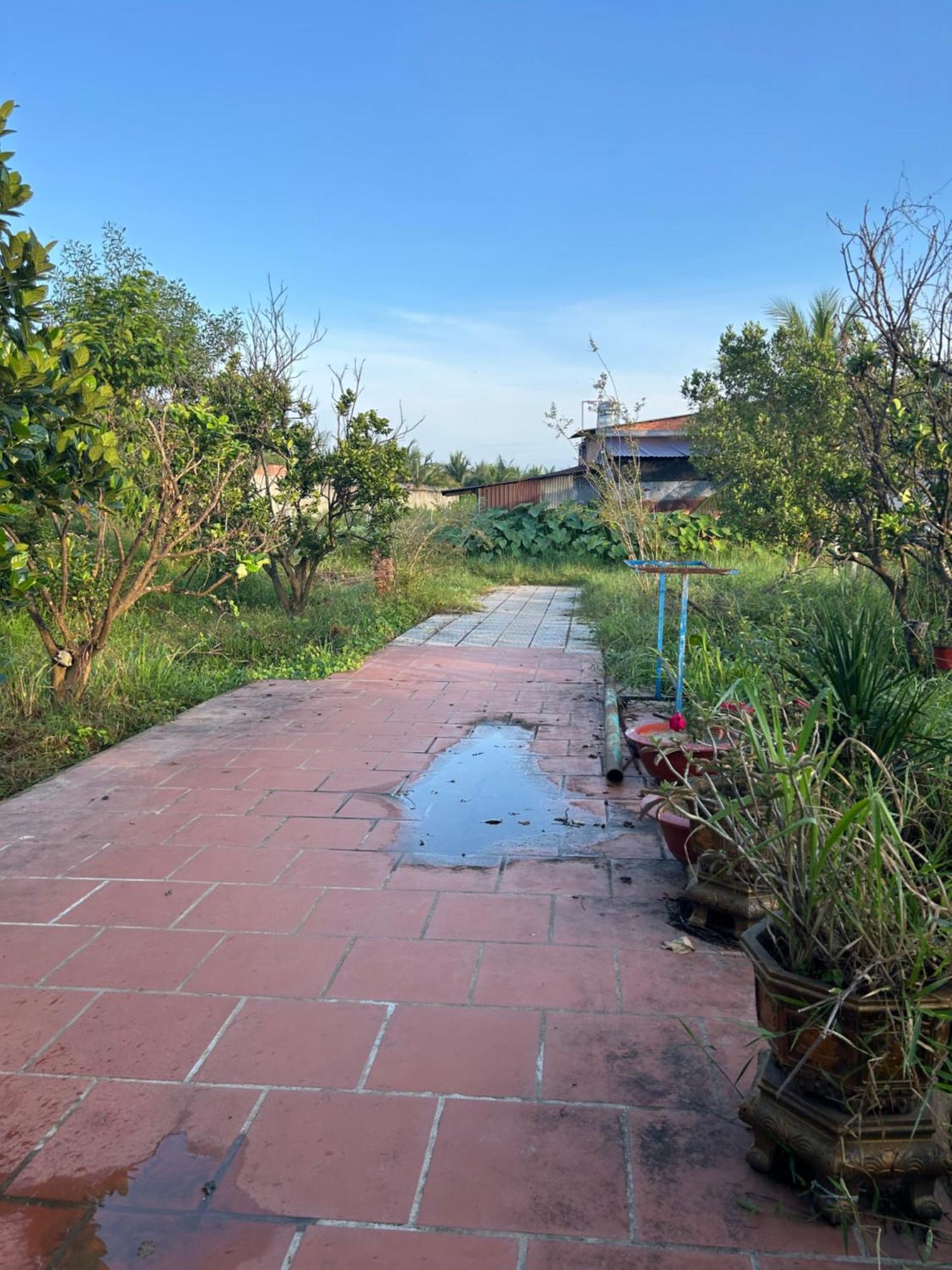 Huong Sen Garden Guest house *
