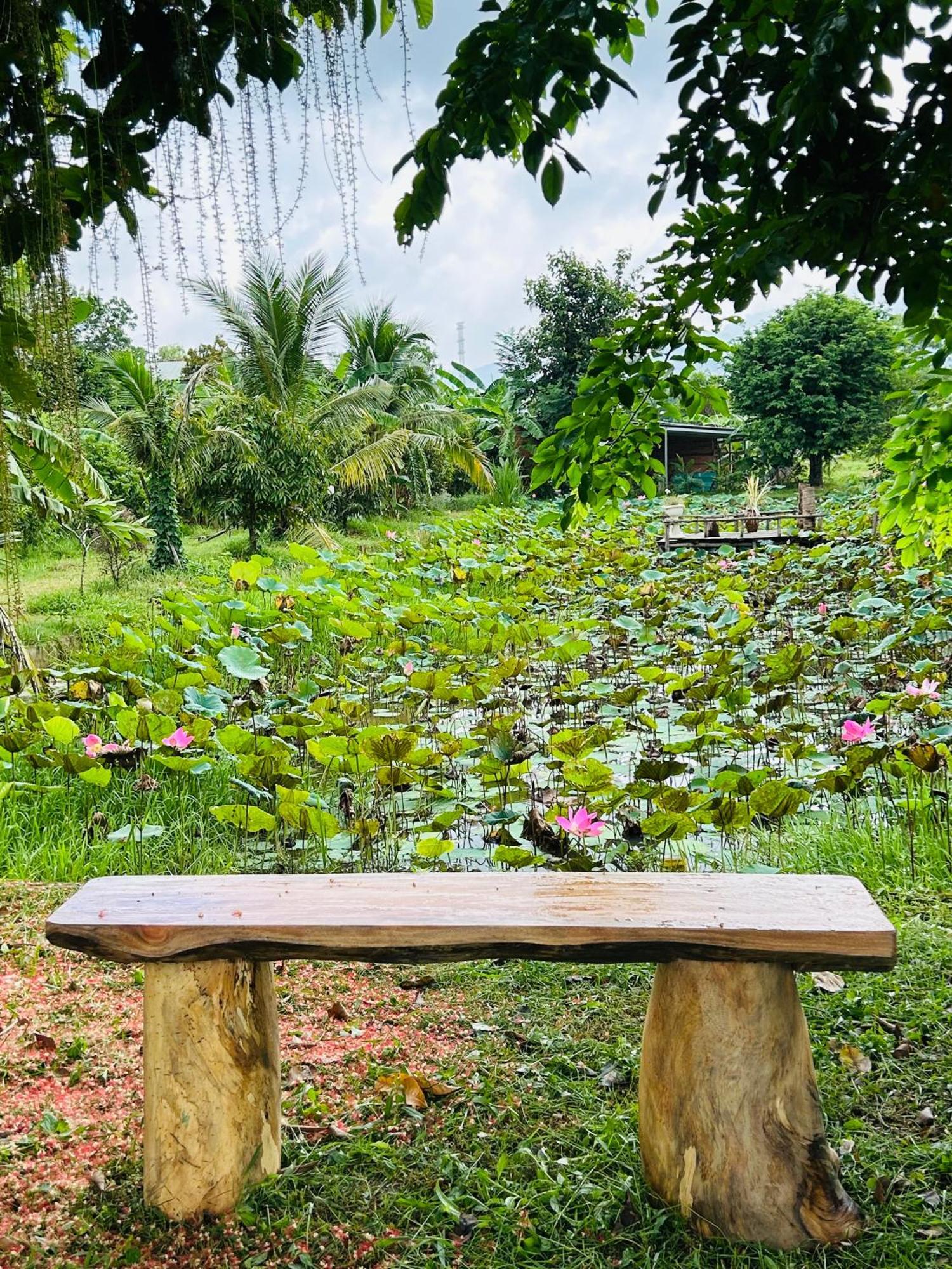 Huong Sen Garden *