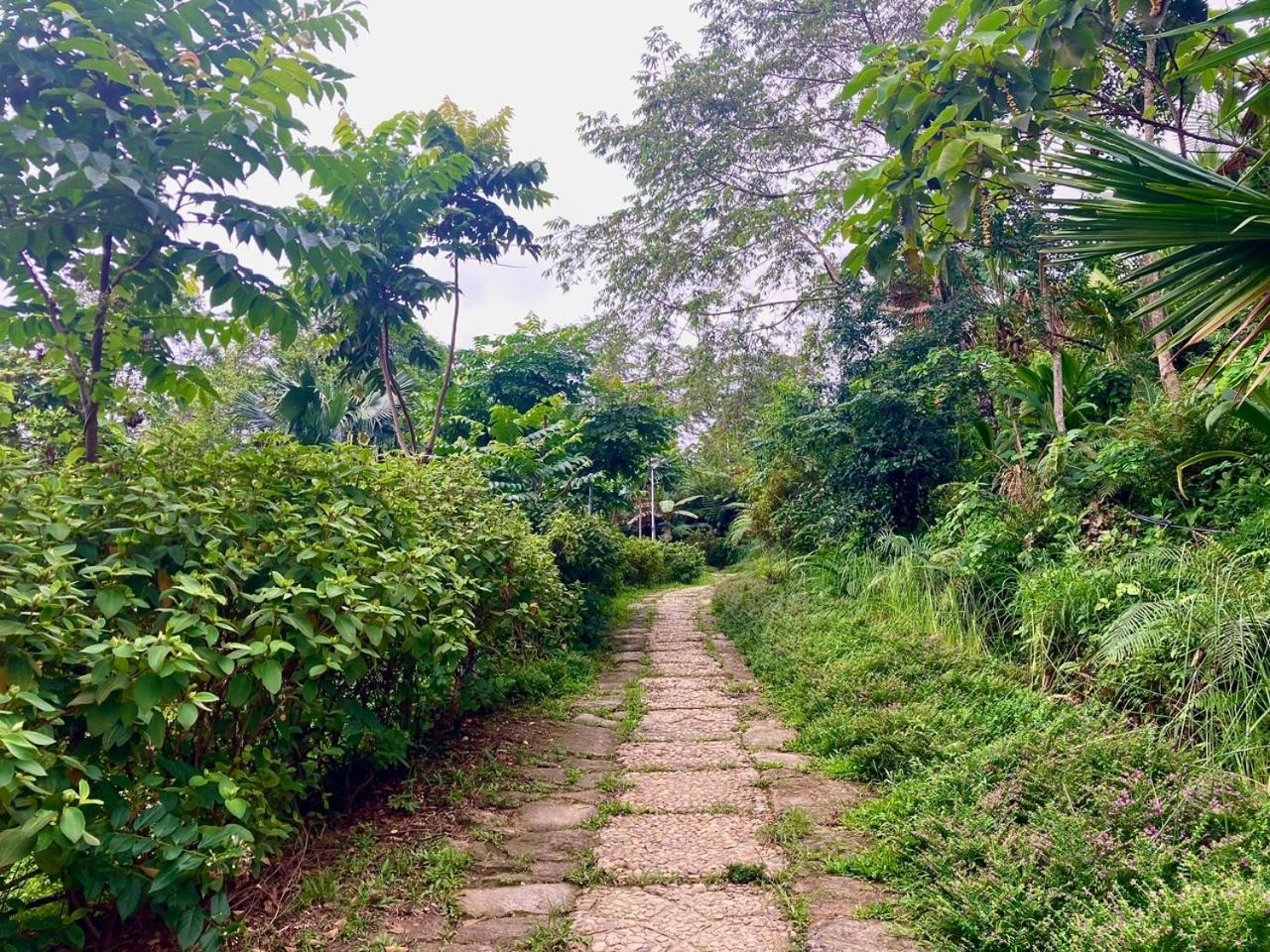 Tvpalm Lodge *