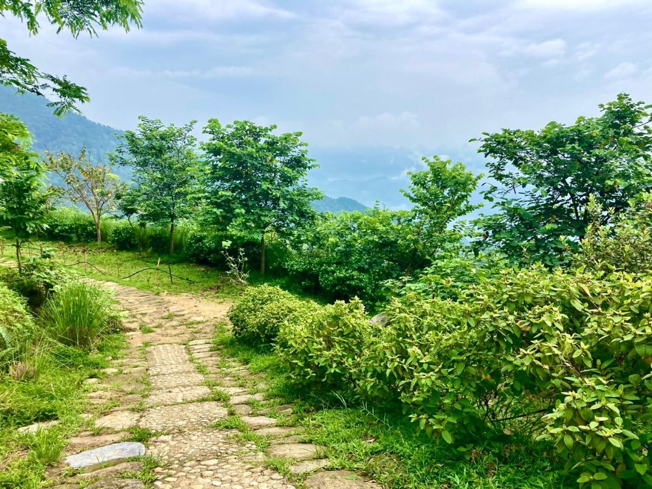Lodge Tvpalm Ha Giang