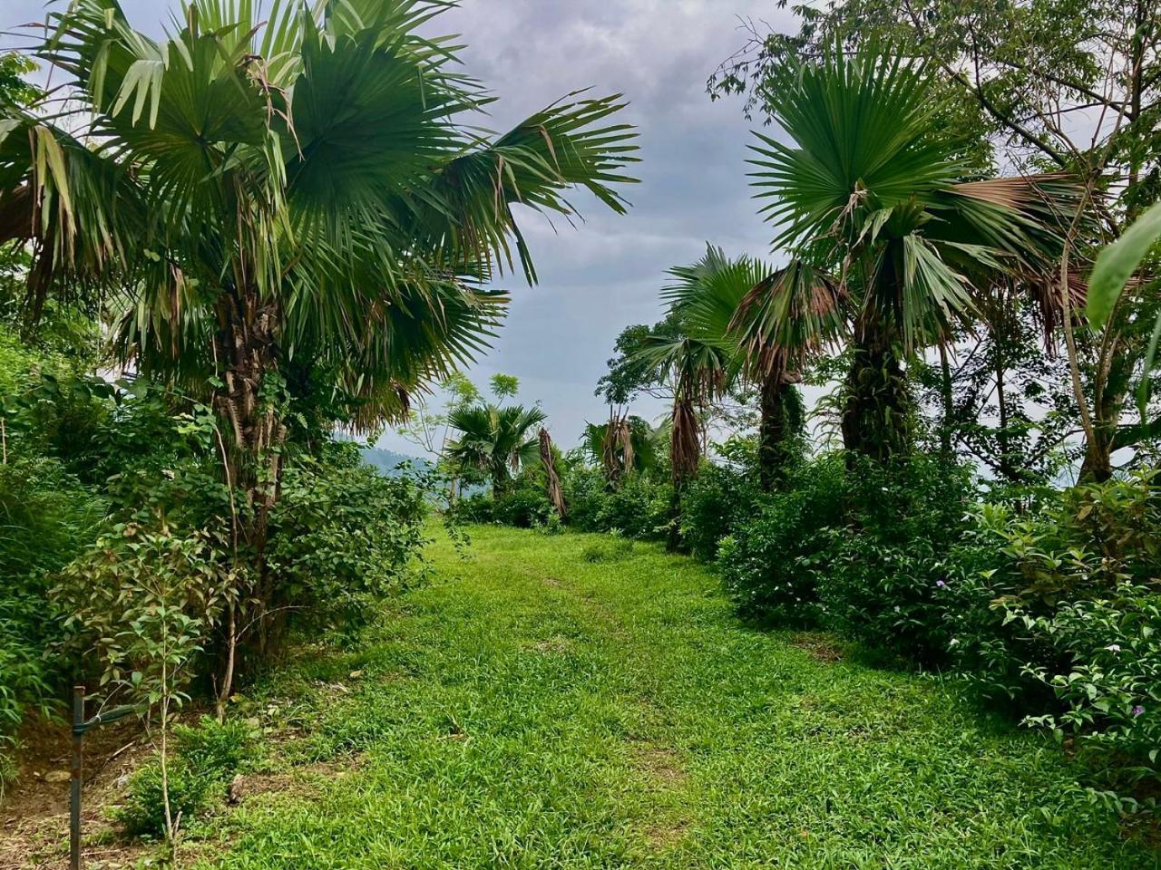 Tvpalm Lodge