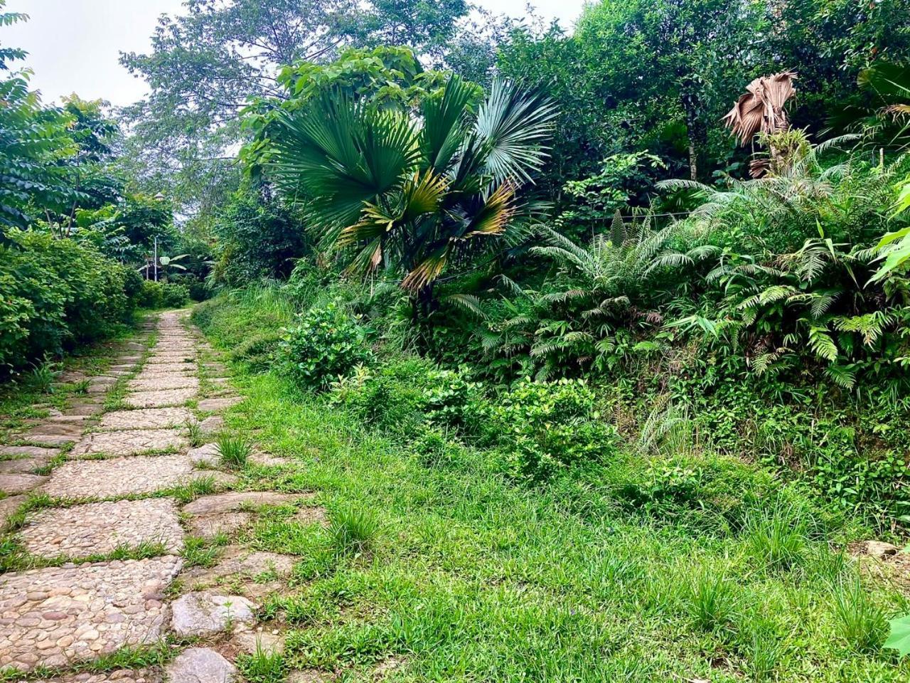 Tvpalm Lodge Ha Giang