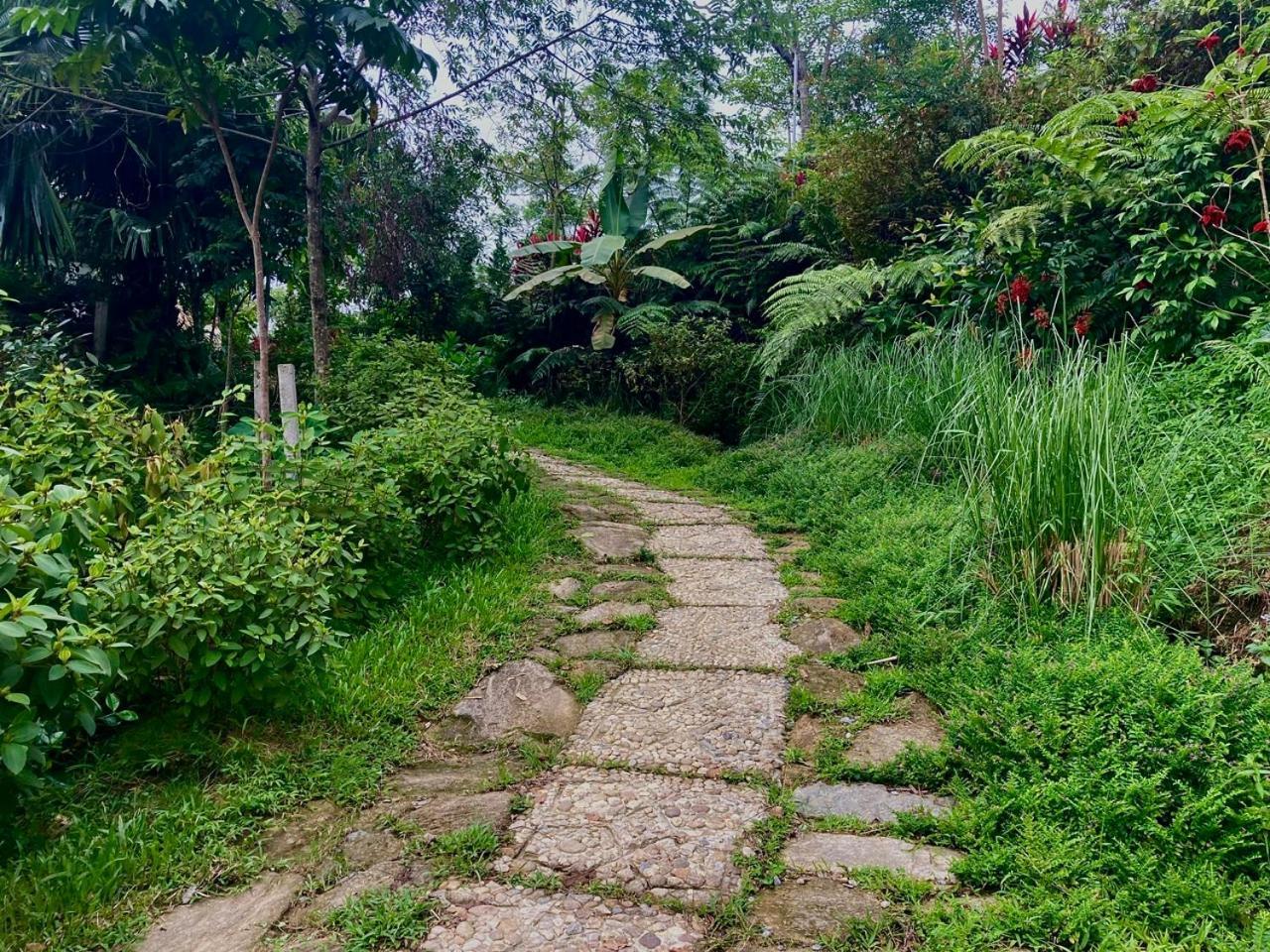 Tvpalm Ha Giang