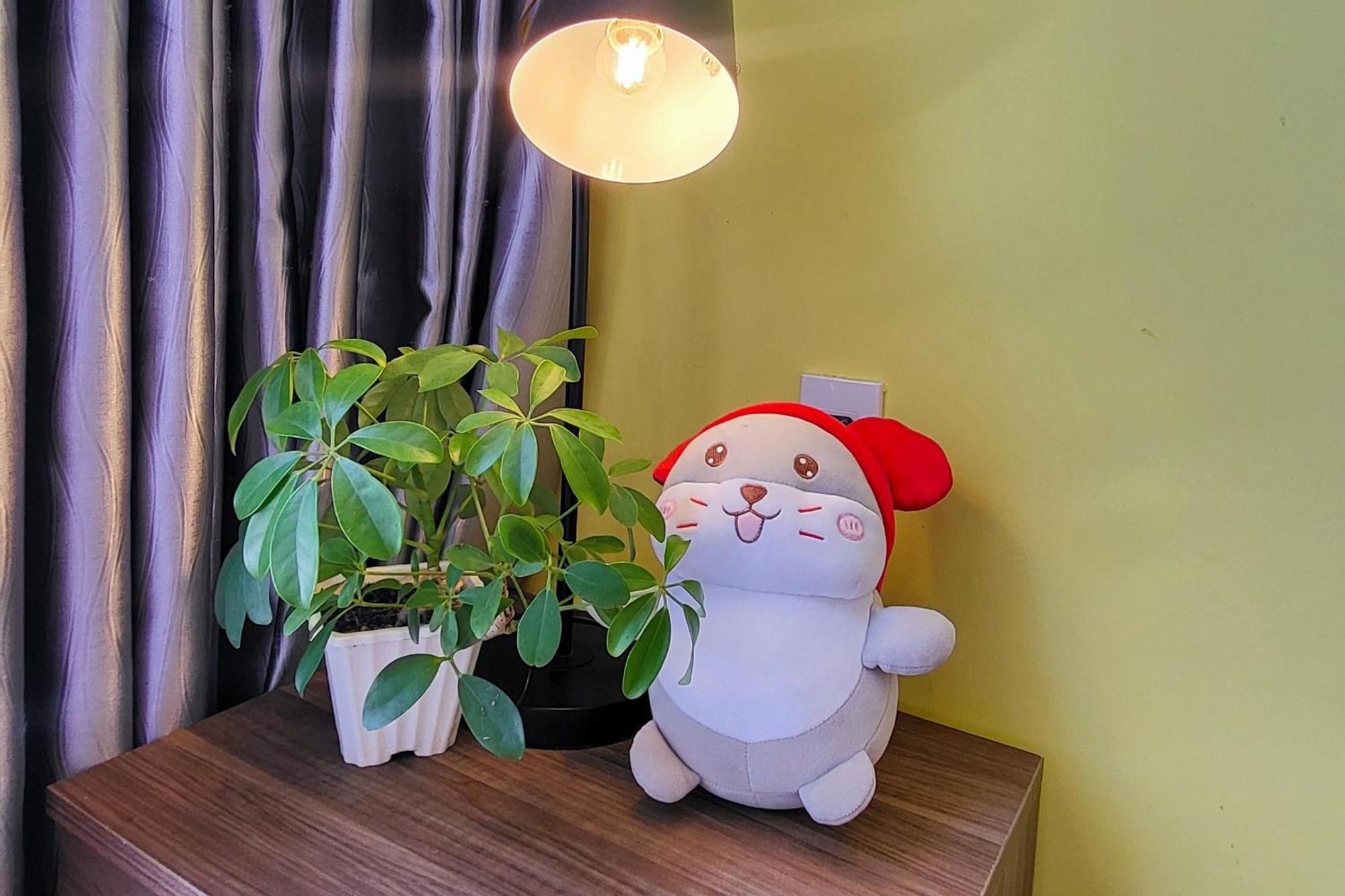Ho - Chubby House