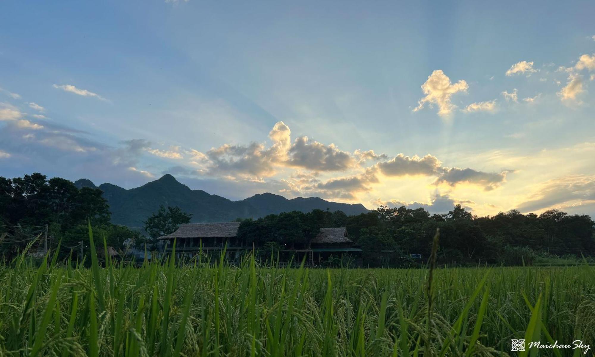 Sky Mai Chau