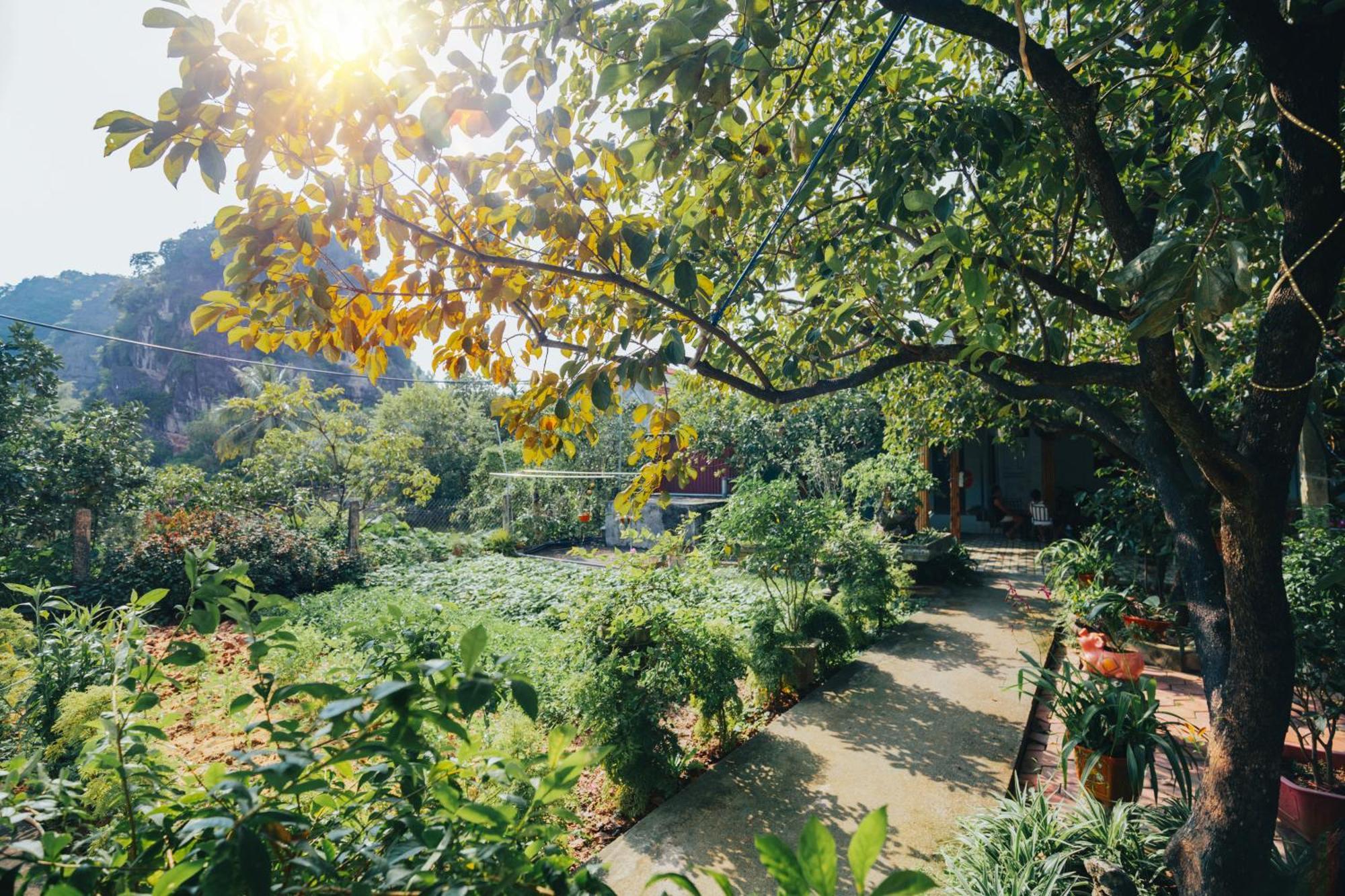 Blue Garden Apartment