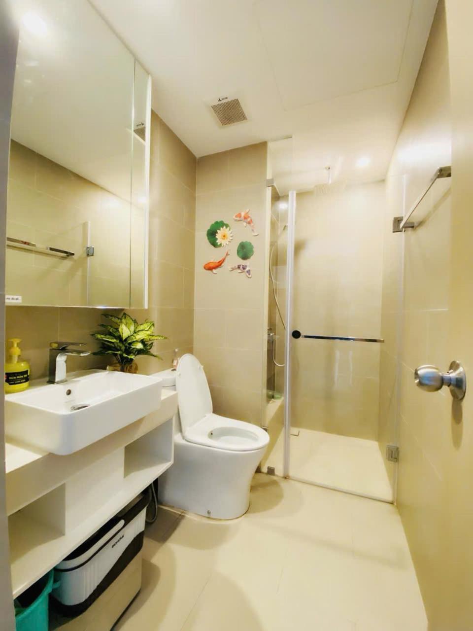Hotel Thanh Thanh Cozy Oasis 3*