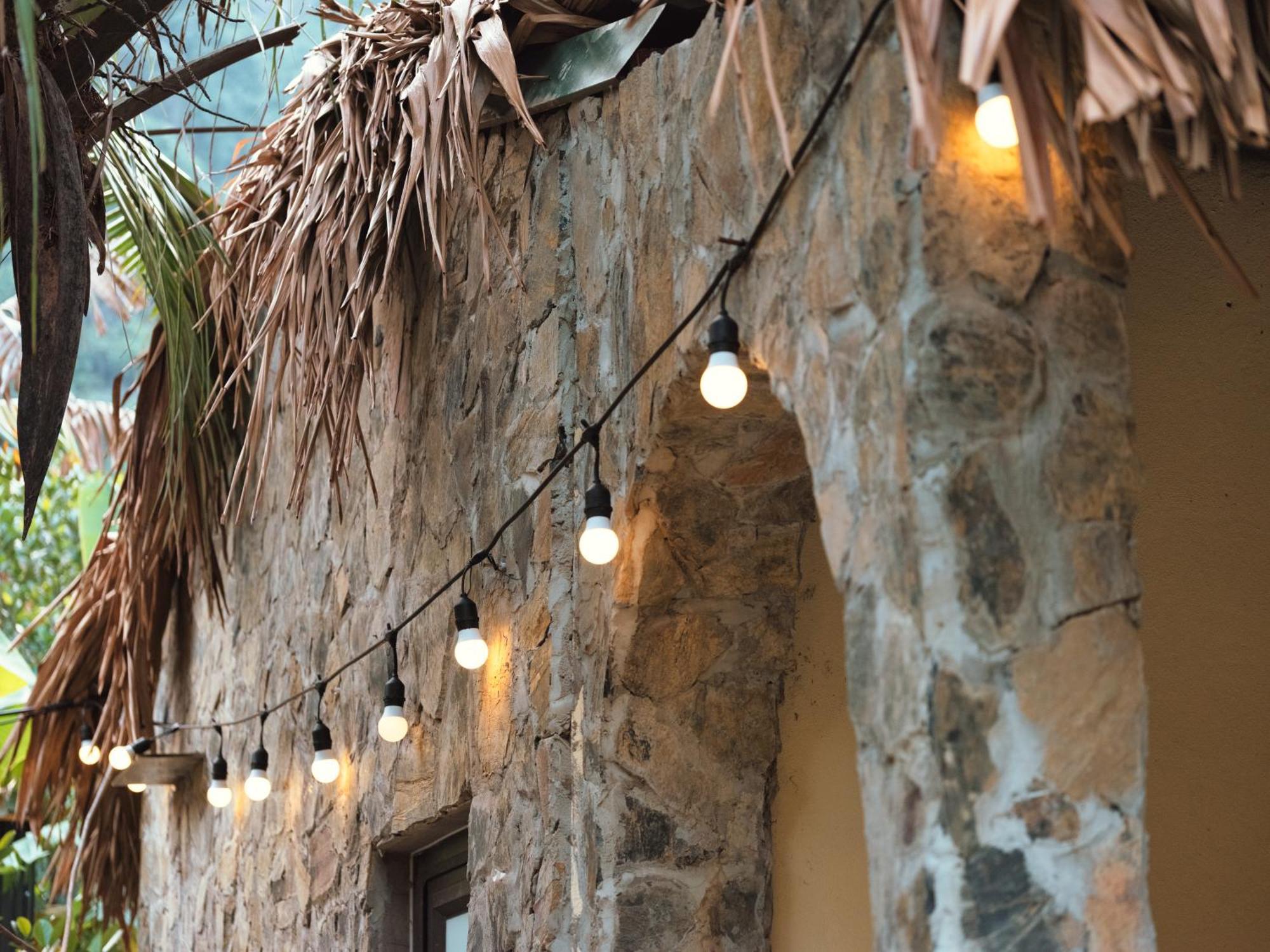 Cozy Beer Garden Homestay
