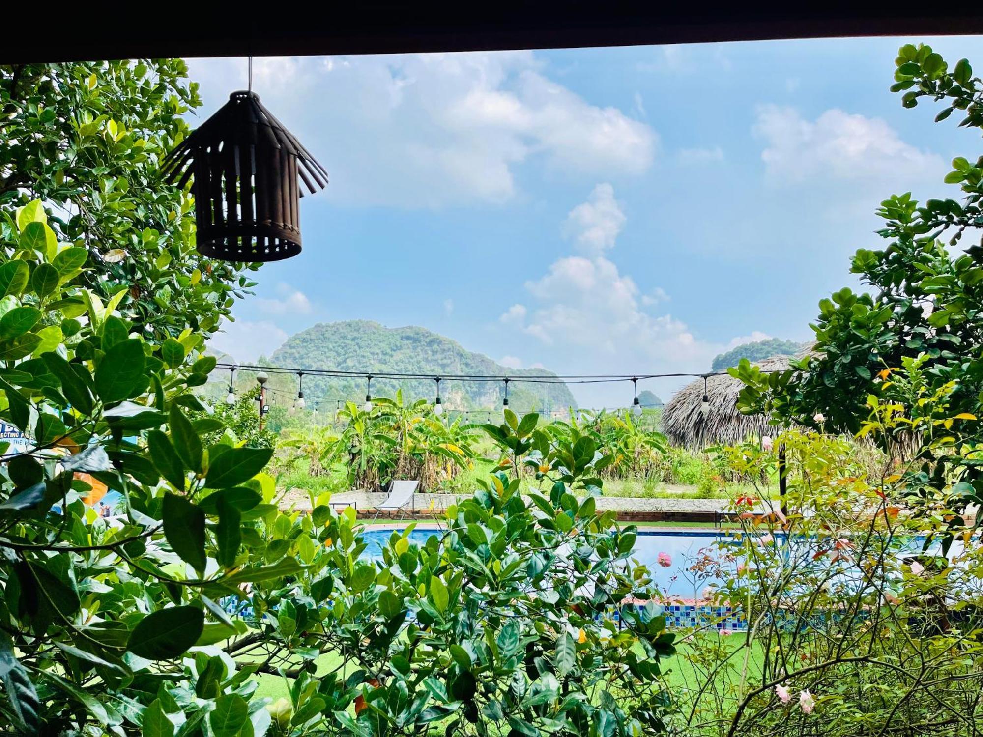 Trang An Lotus * Ninh Binh
