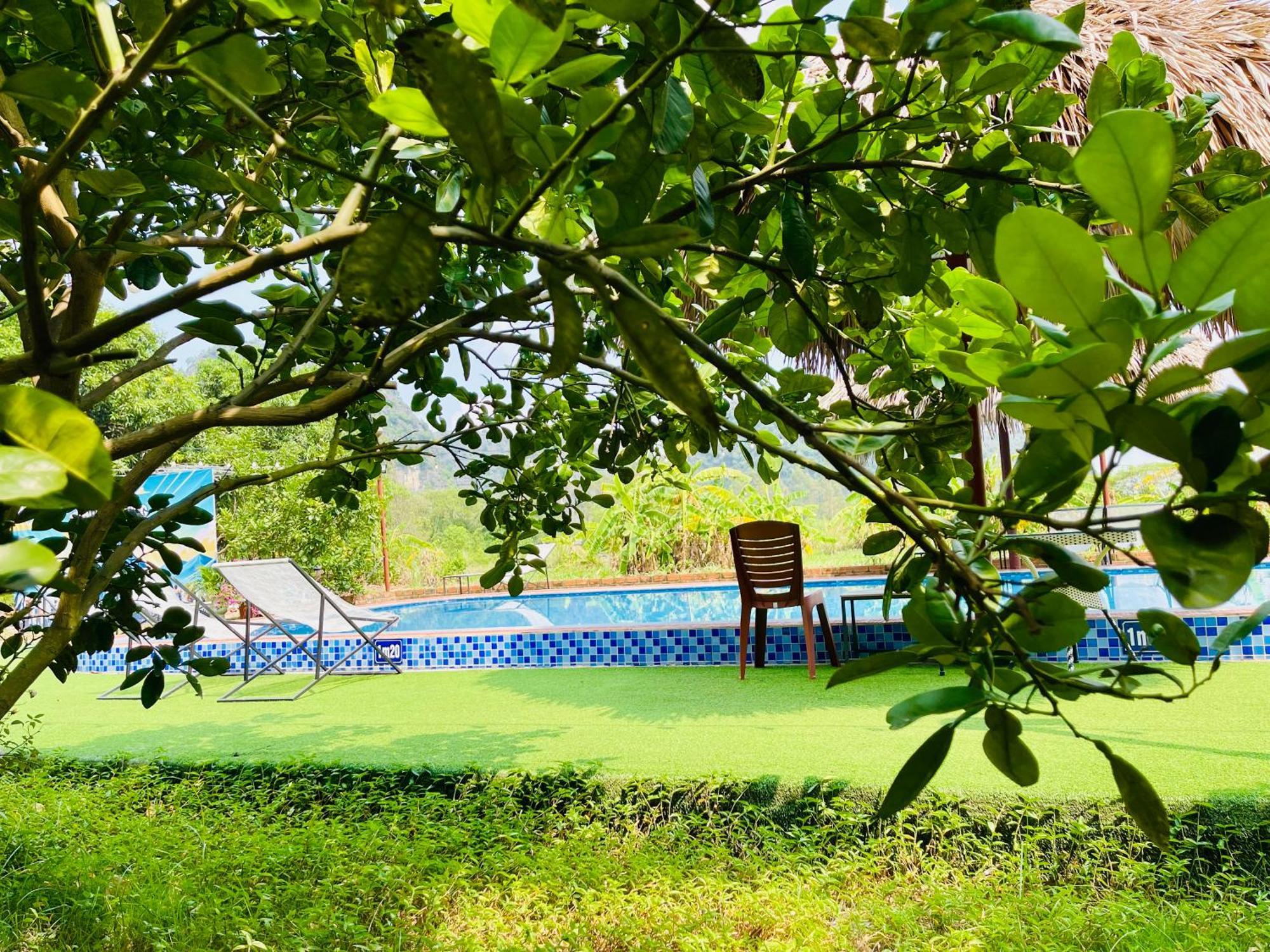 Trang An Lotus Bed & Breakfast Ninh Binh