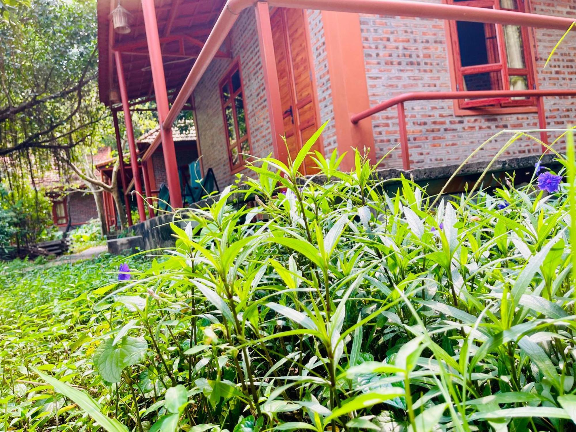 Bed & Breakfast Trang An Lotus Ninh Binh