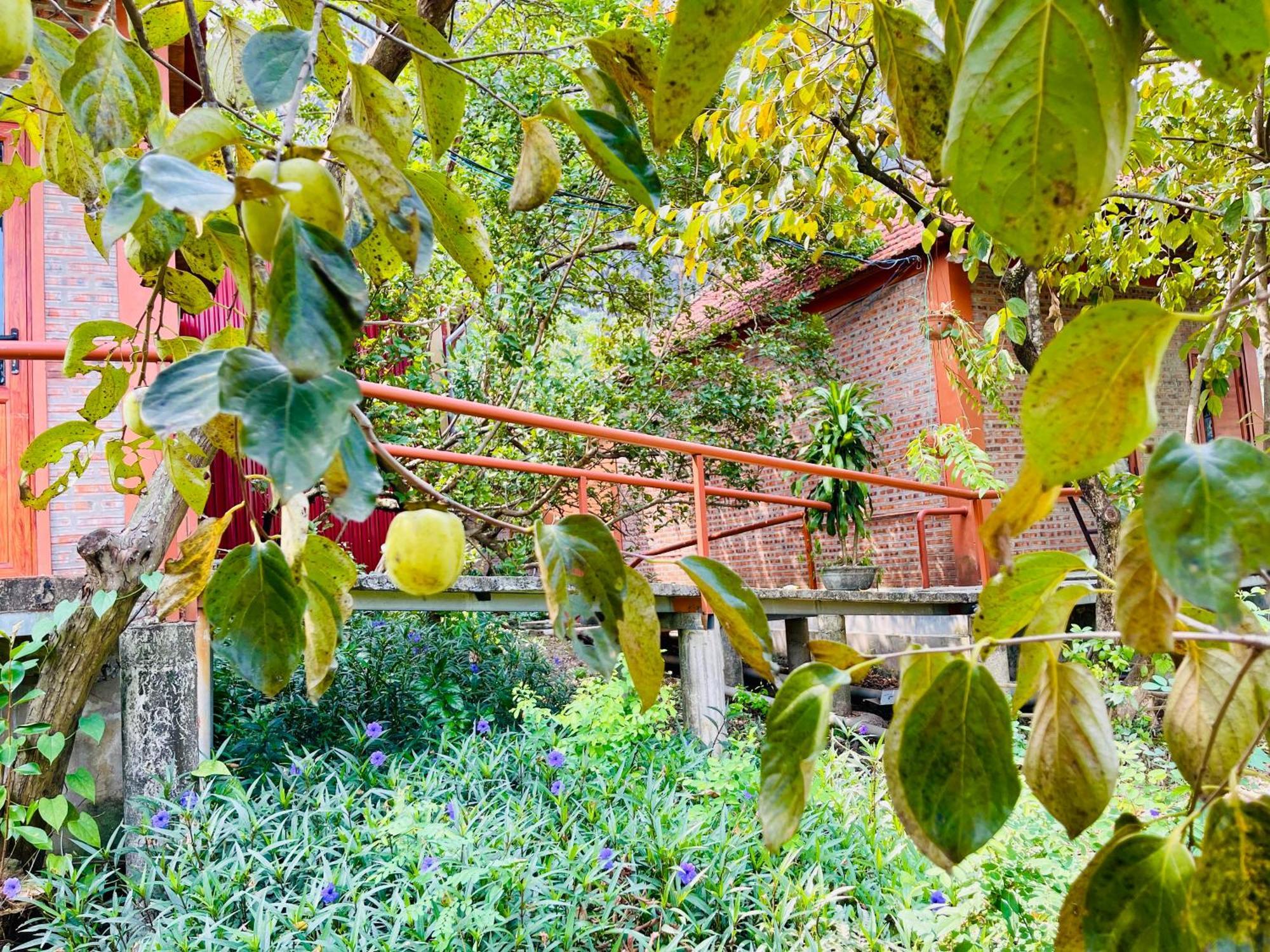 Trang An Lotus Bed & Breakfast *