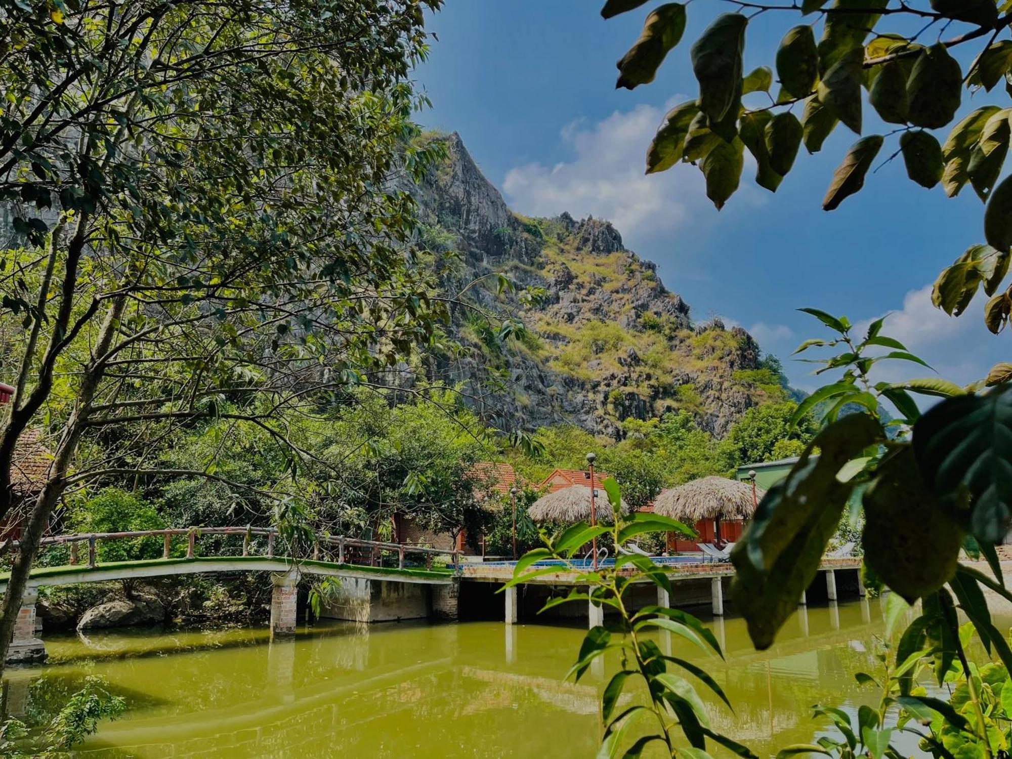 Trang An Lotus Ninh Binh