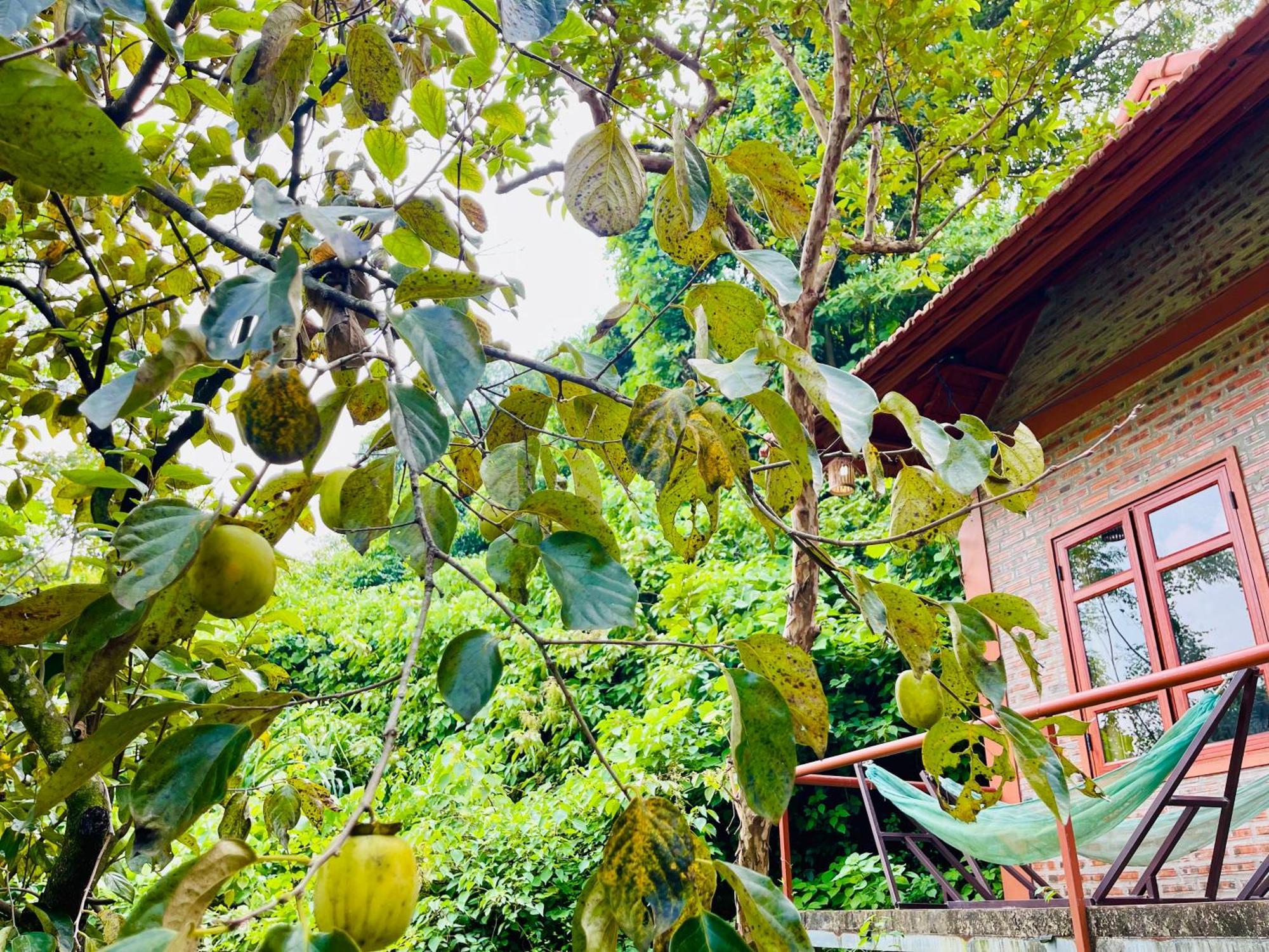 Bed & Breakfast Trang An Lotus