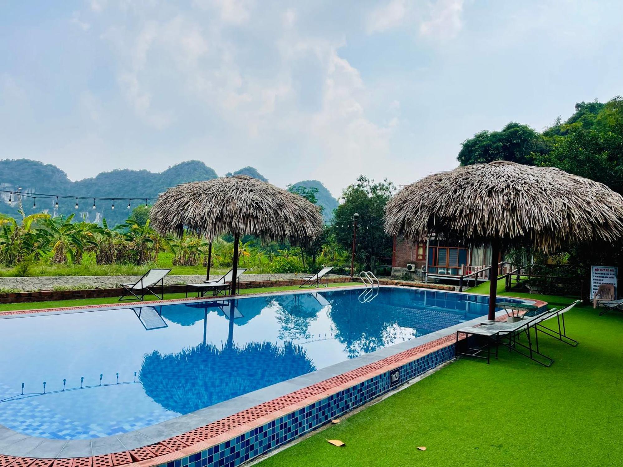 Trang An Lotus Ninh Binh