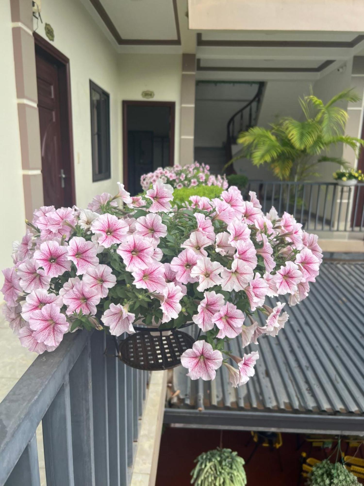 Nha Nghi Ngoc Long *