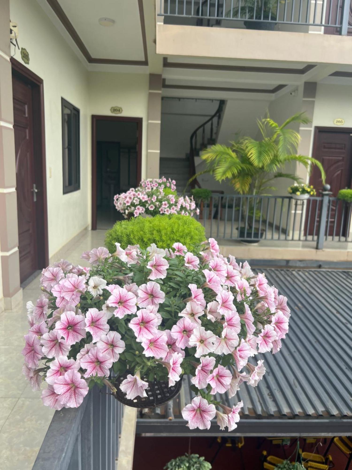Nha Nghi Ngoc Long Bed & Breakfast *