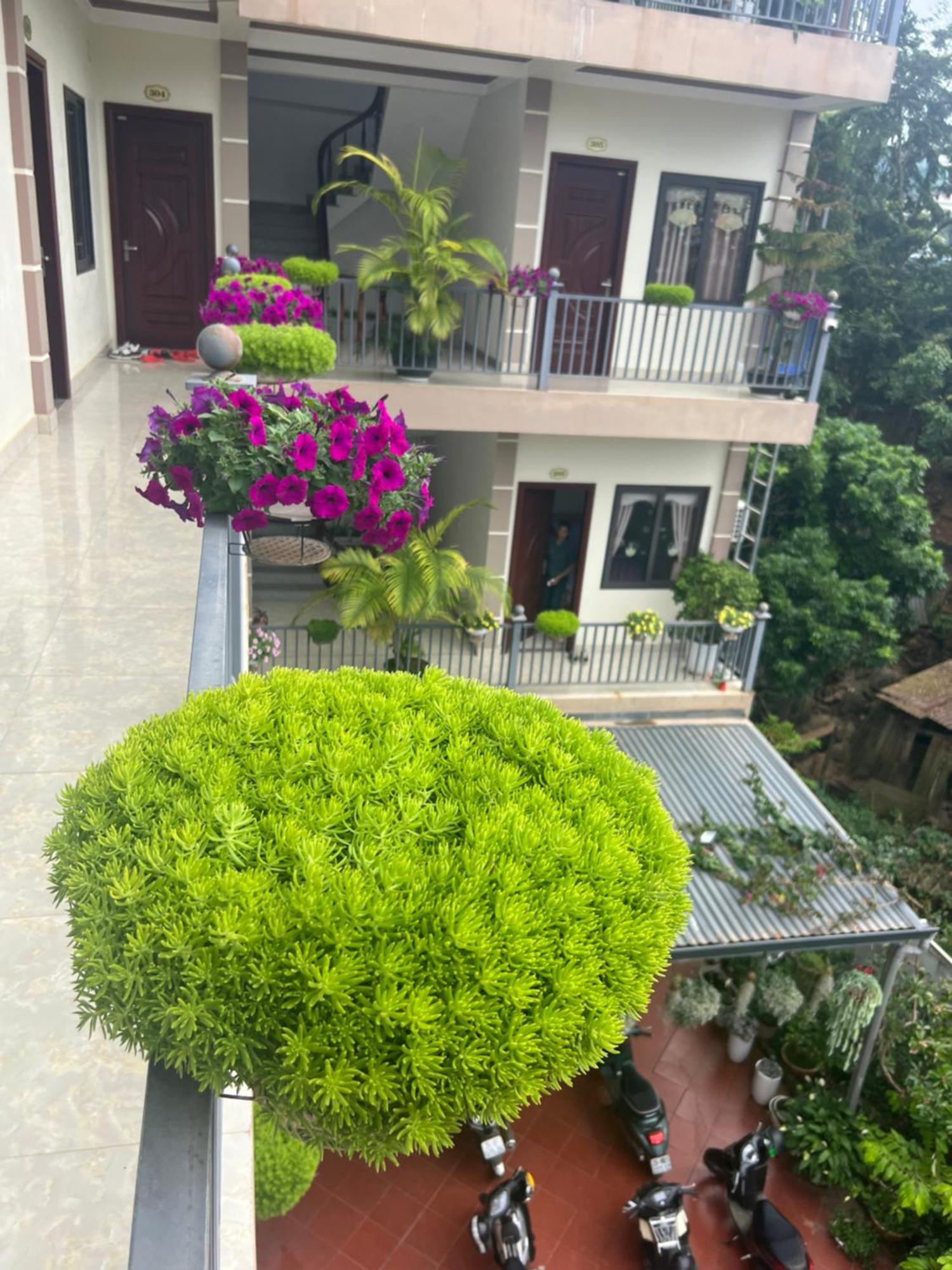 Nha Nghi Ngoc Long Bed & Breakfast Moc Chau