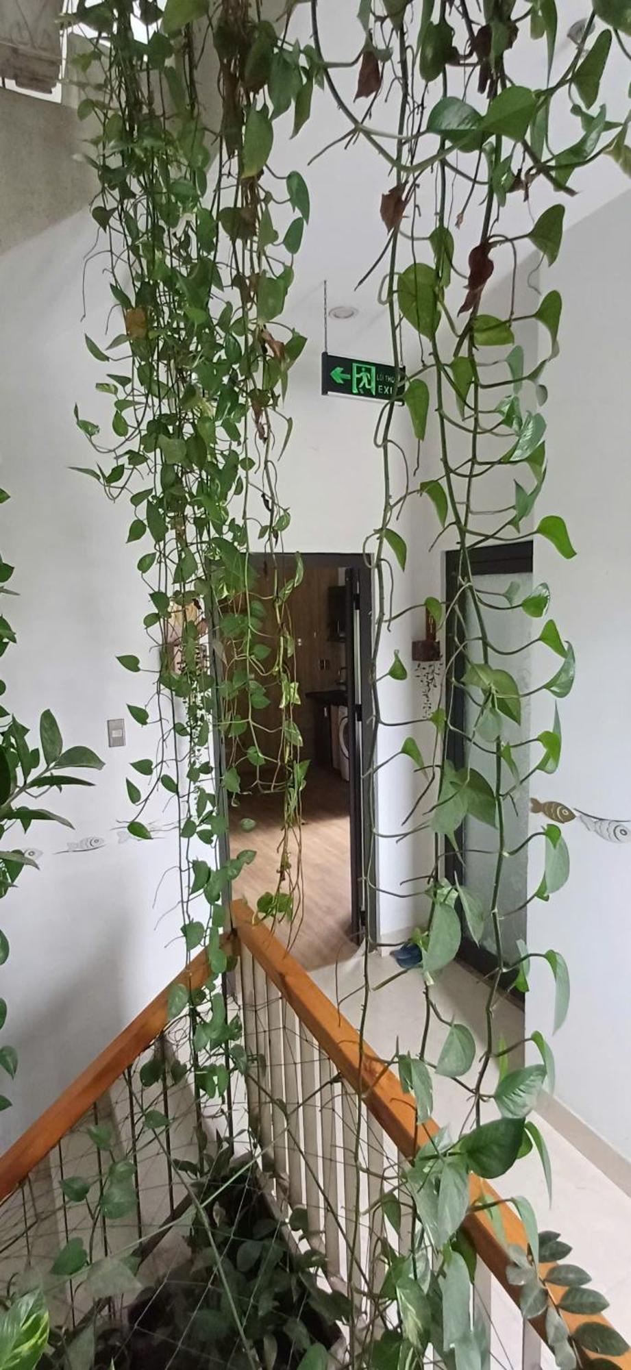 Seashine Apartment