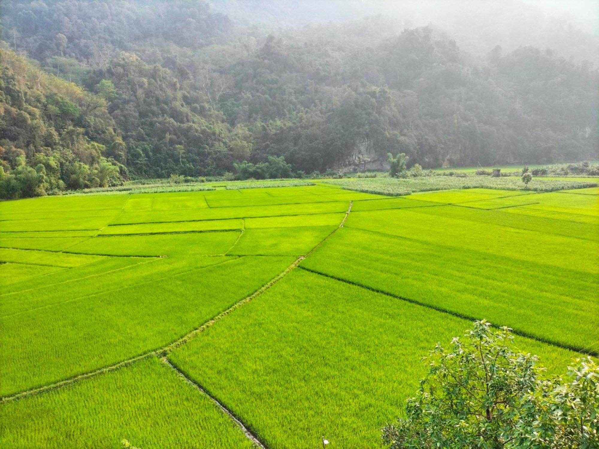 Nam Pe Bac Kan