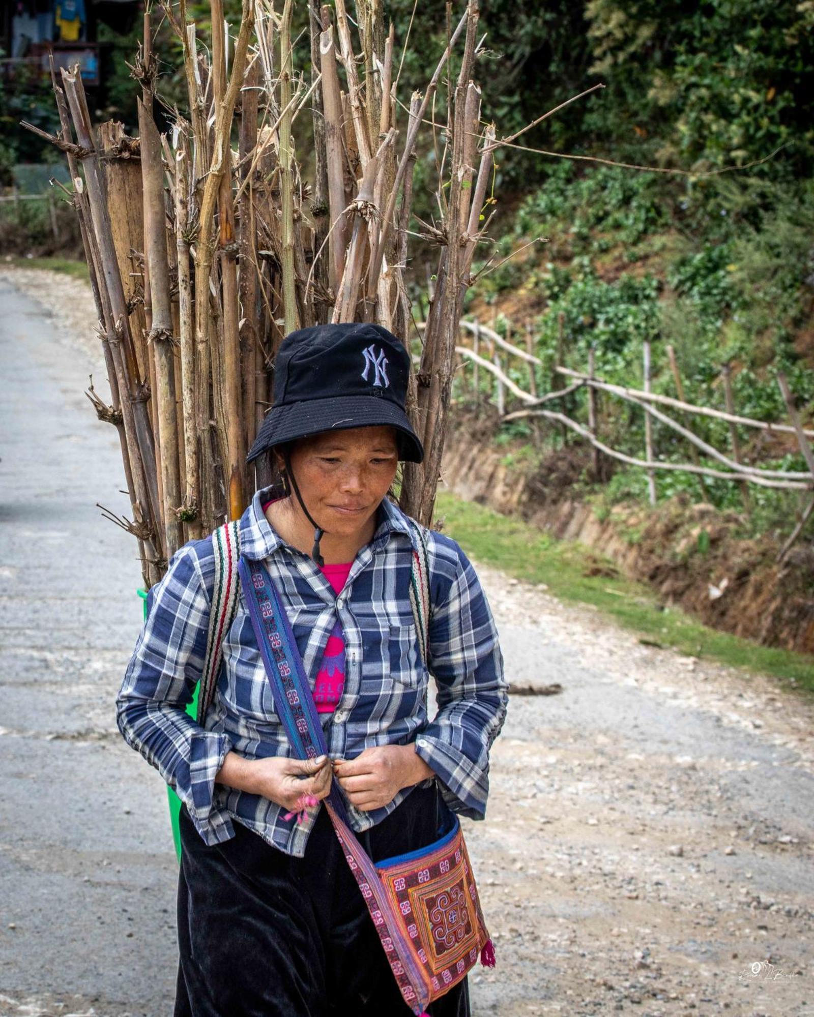 Muong Hoa Eco & Trekking * Sa Pa